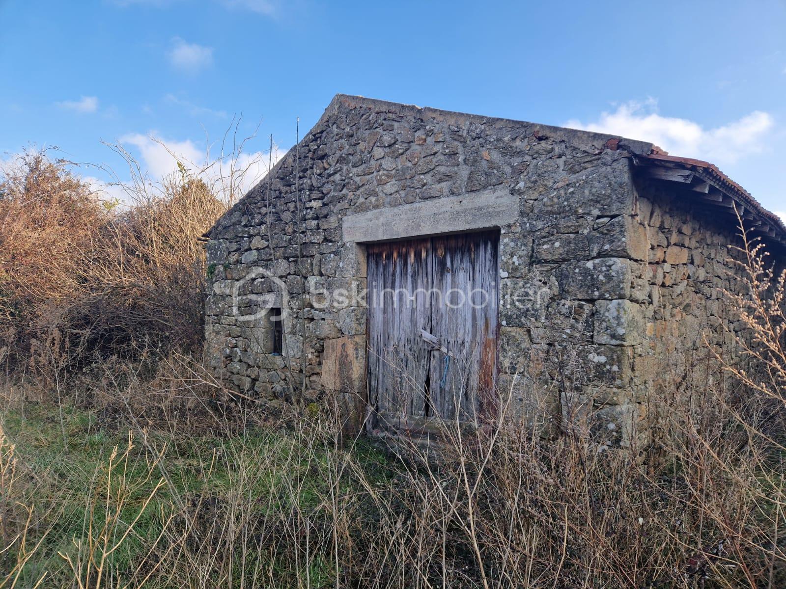 Maison de 100 m² - WhatsApp Image 2025-01-16 à 16.16.46_cc9513fd.jpg