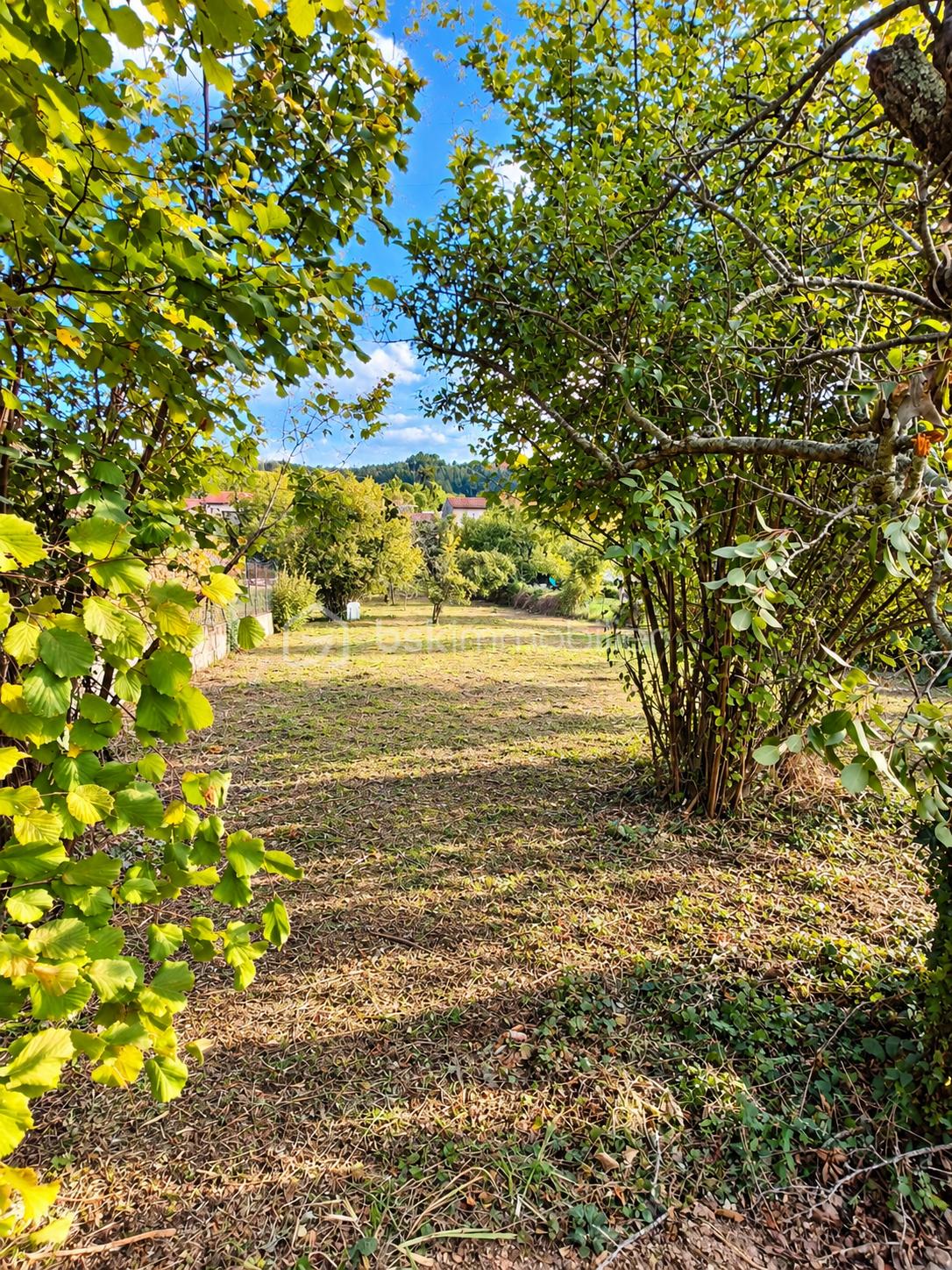 Jardin lumineux encadré de verdure.png