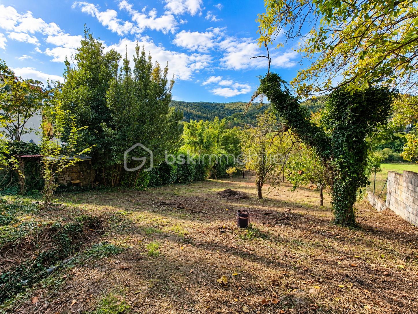 Jardin rural ensoleillé avec collines boisées.png