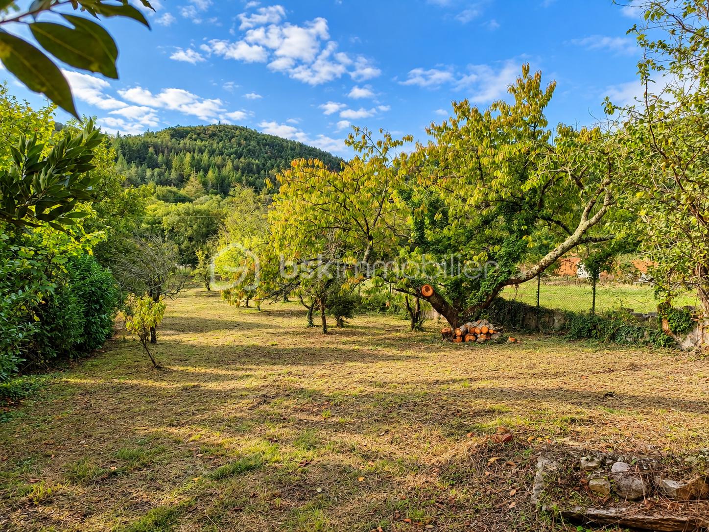 Jardin rural avec arbres et collines.png