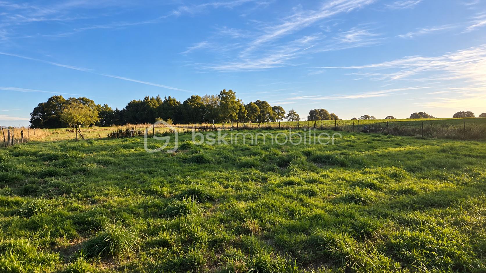 Prairie.png