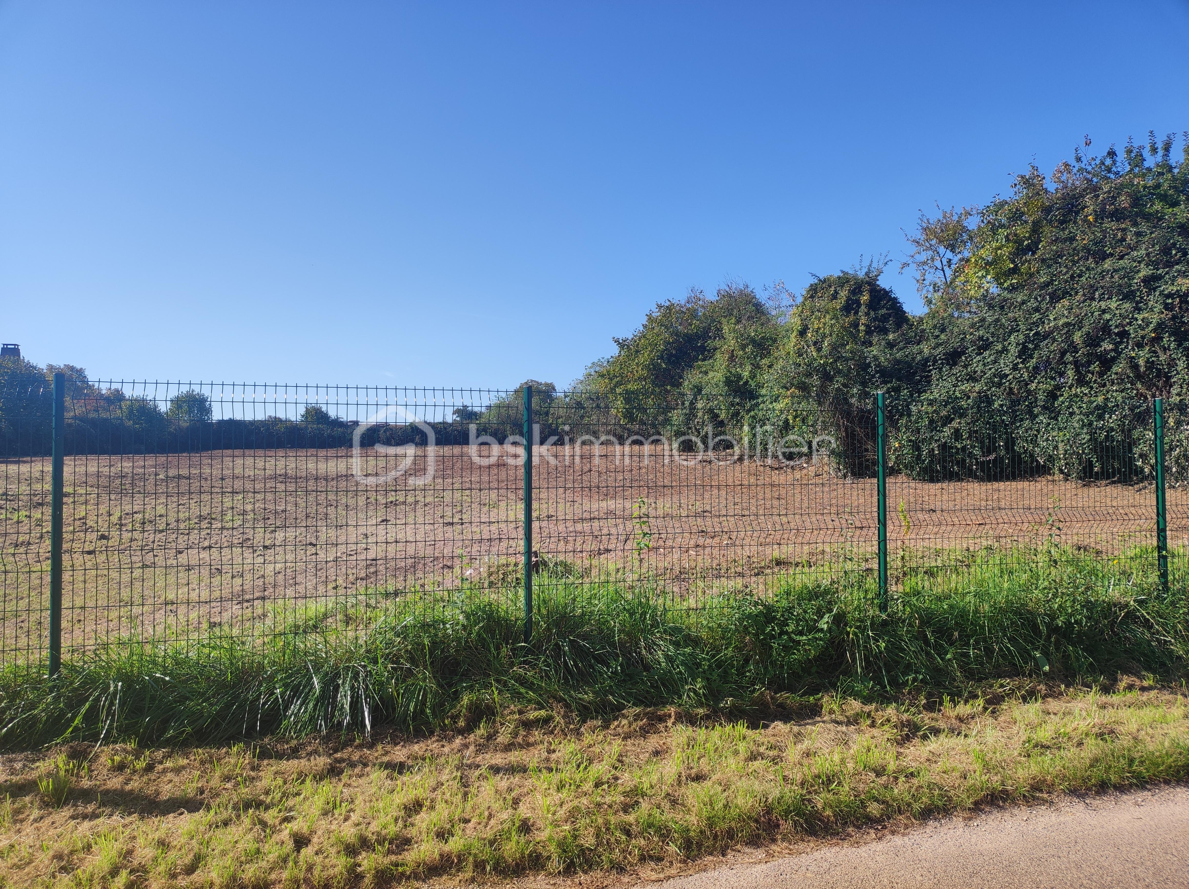 Terrain de 2 514 m² - 1760691545087.jpg