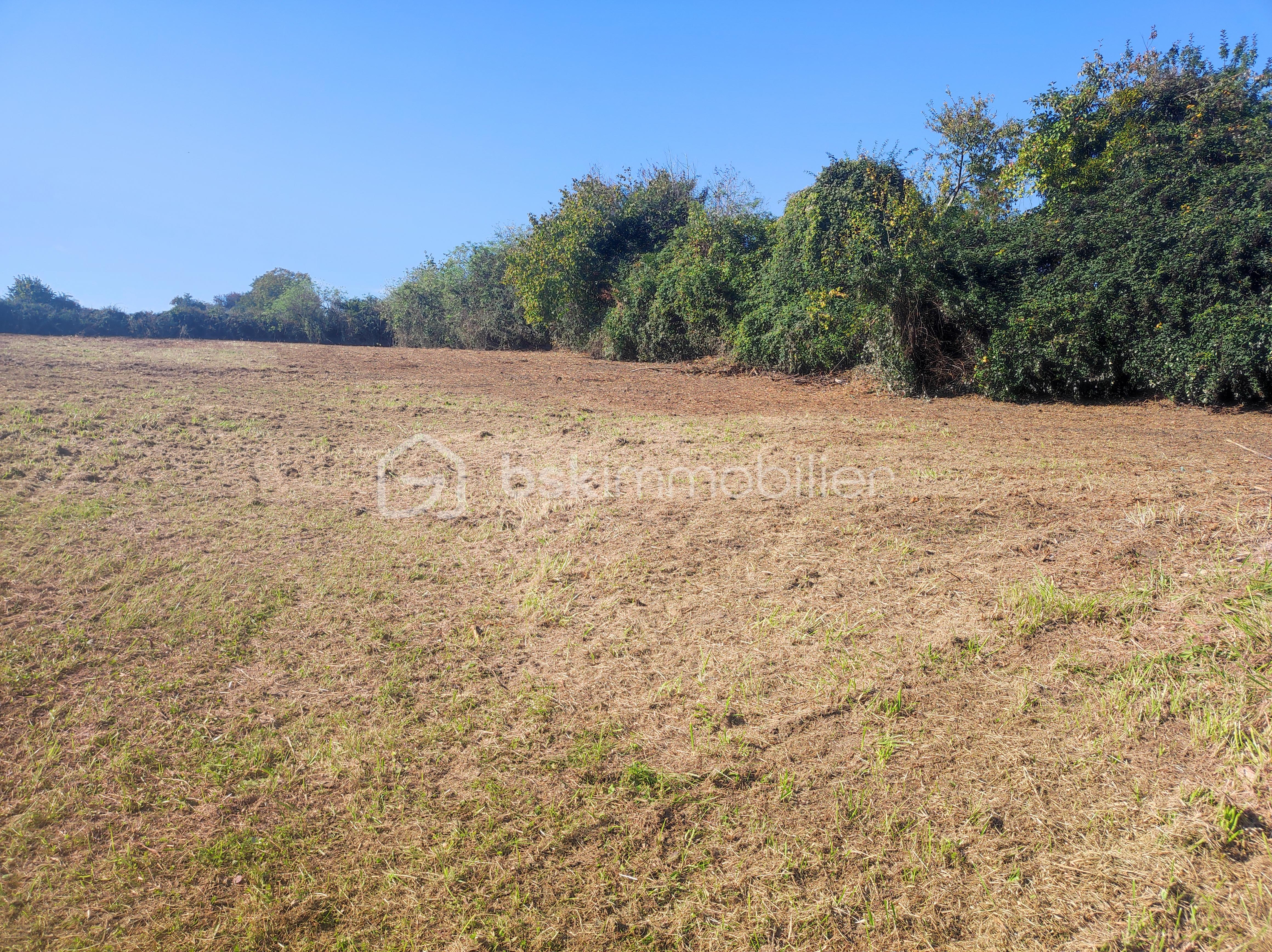 Terrain de 2 514 m² - 1760691545075.jpg