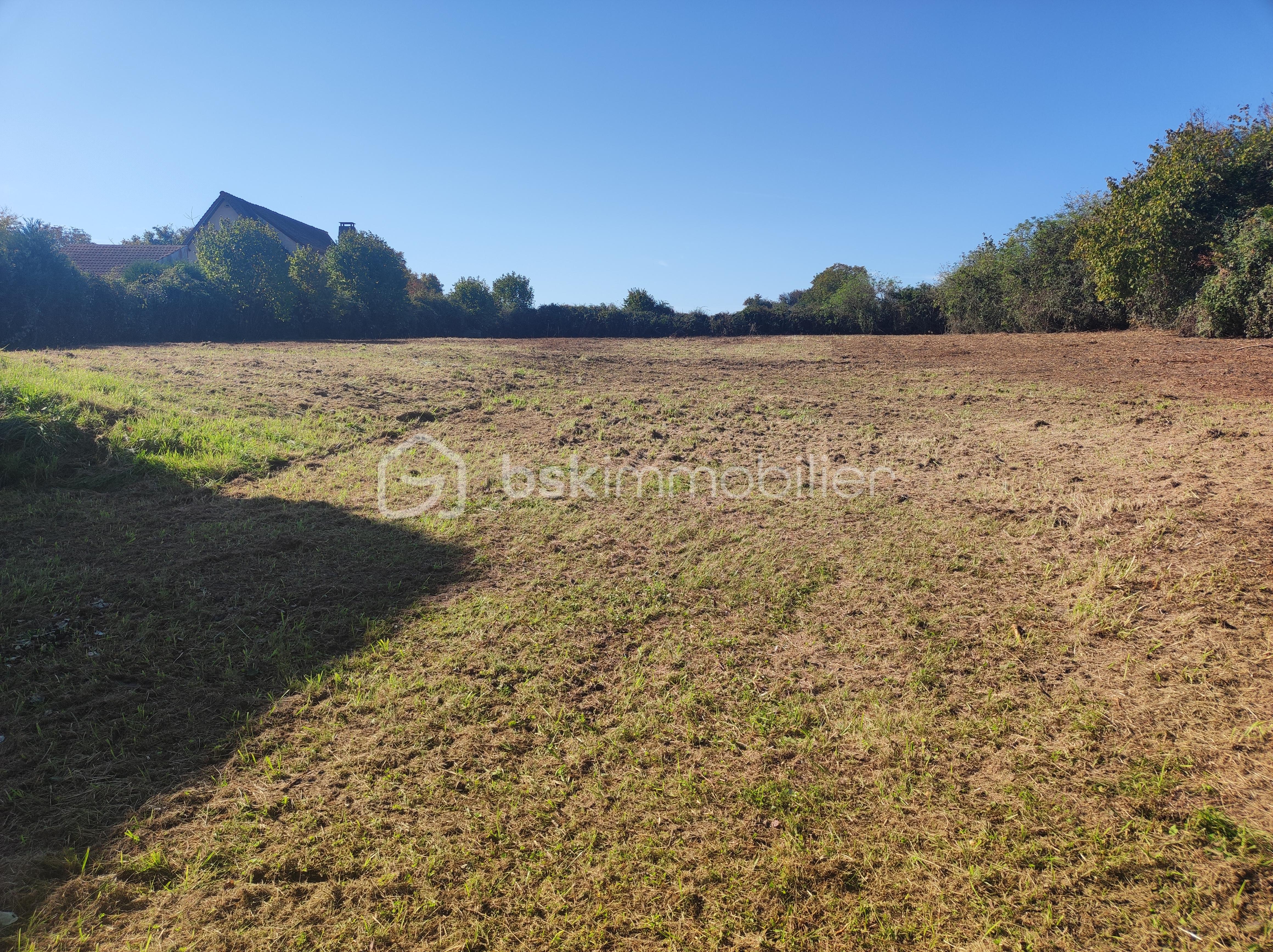 Terrain de 2 514 m² - 1760691545078.jpg