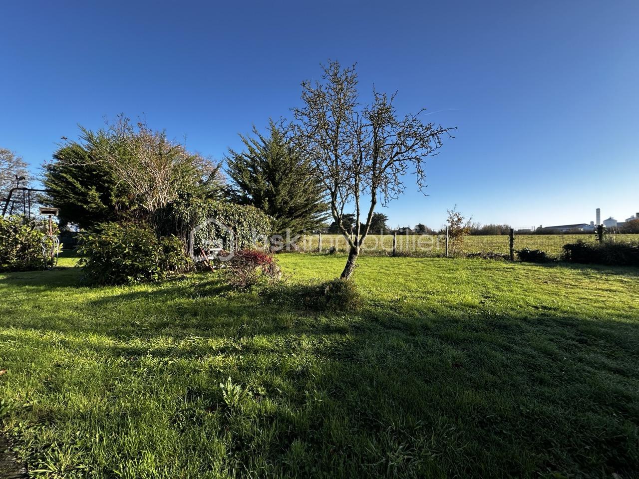 Maison traditionnelle de 108 m² - IMG_4451 - Grande.jpeg