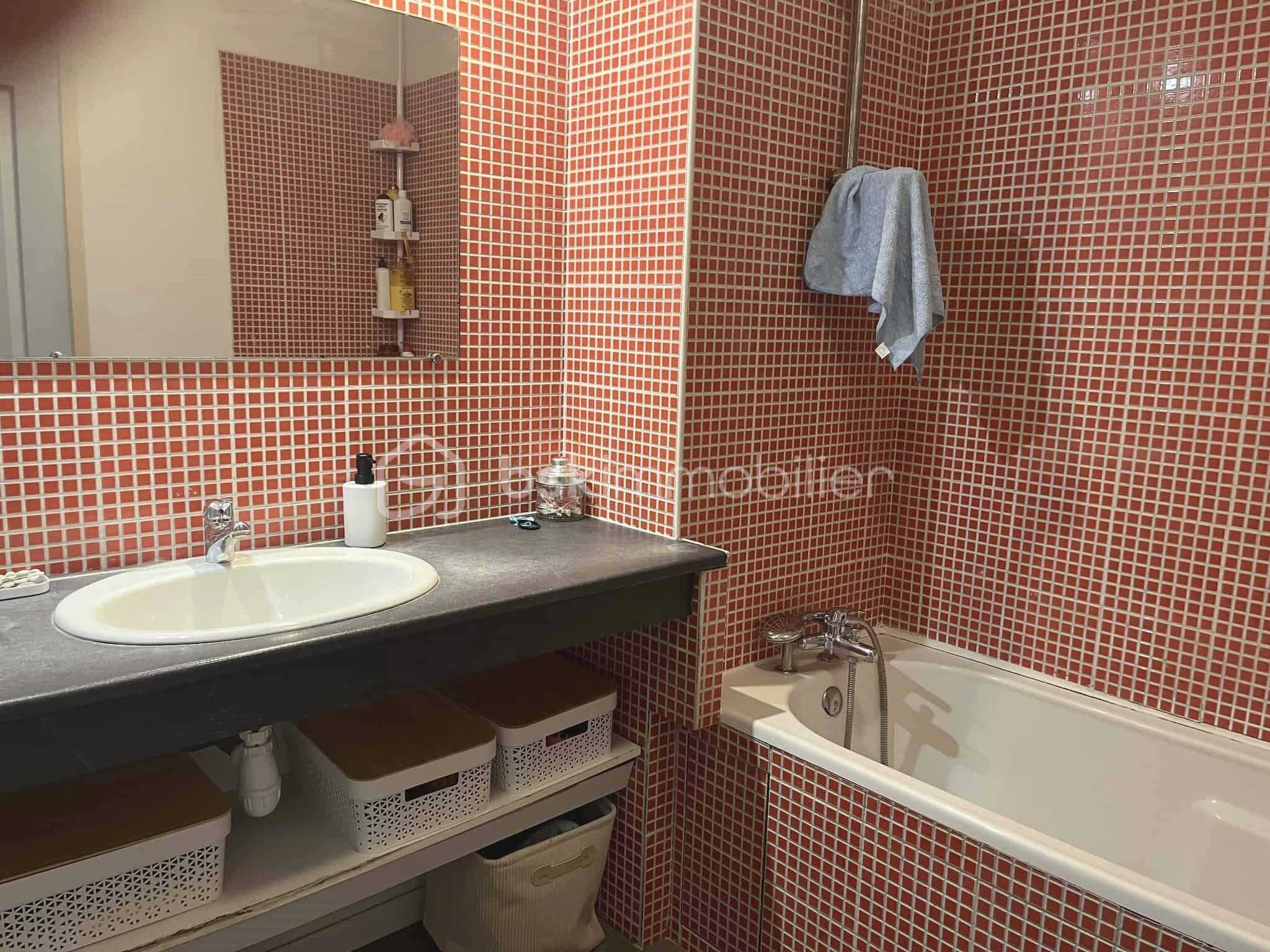 Appartement de 46,35 m² - caca8352-e749-4bb9-8745-3f0c2a021999.jpg