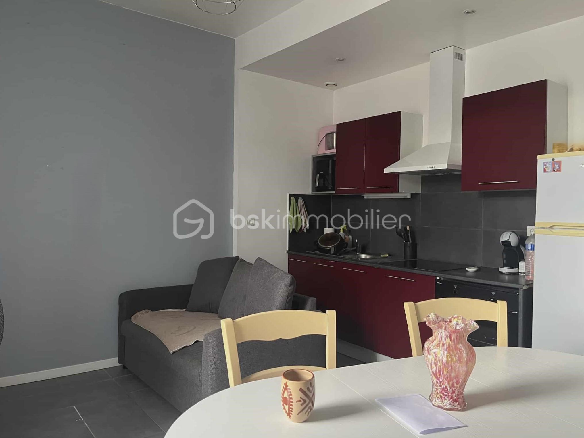 Appartement de 46,35 m² - 86d5683a-d41a-4c99-a705-5c27f4c6f590.jpg