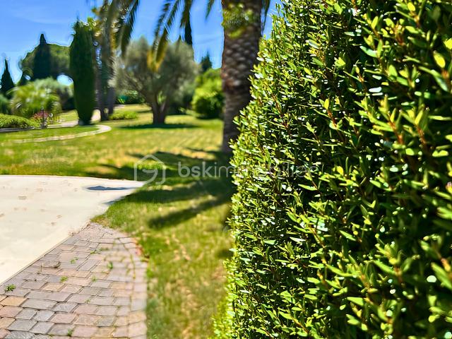 verdure.png