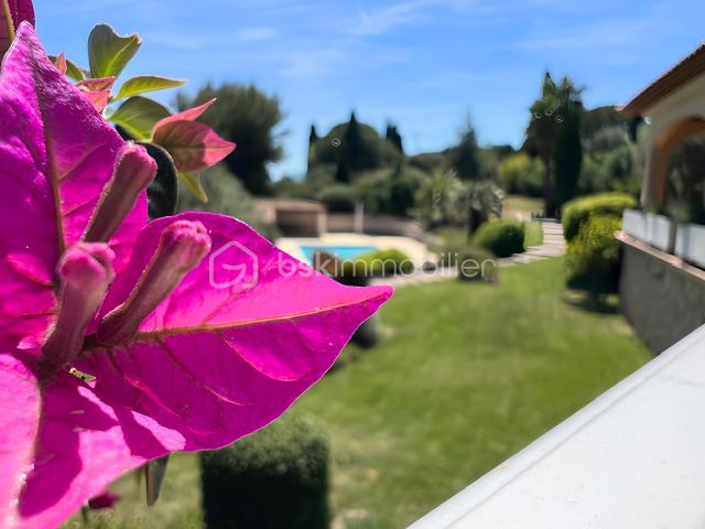 fleur-terrasse-rose.png