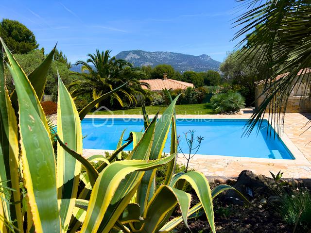 jardin-piscine.png