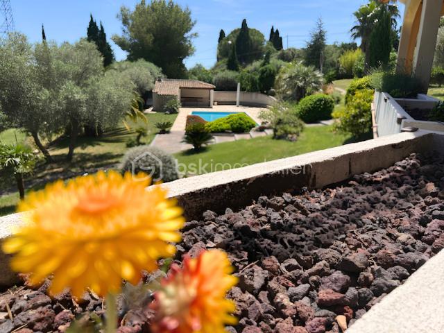 terrasse-fleur-jaune.png