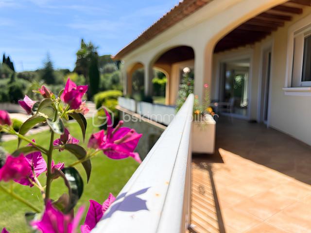 terrasse-fleur-rose.png