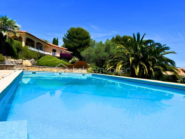 piscine-vue-maison-jardin.png