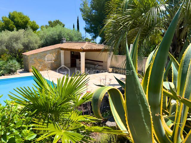 jardin-piscine-cuisine.png