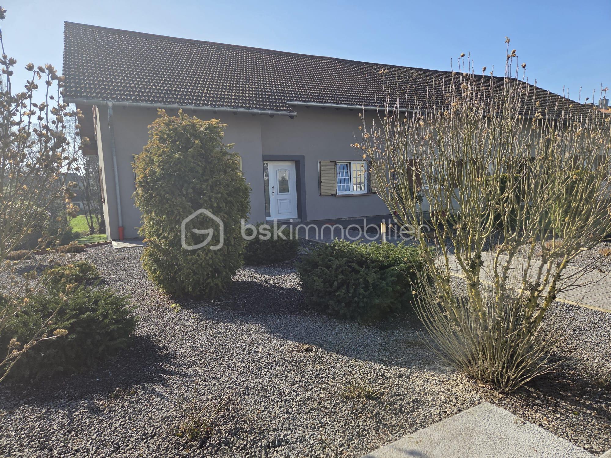 WhatsApp Image 2026-03-07 at 23.47.22.jpeg