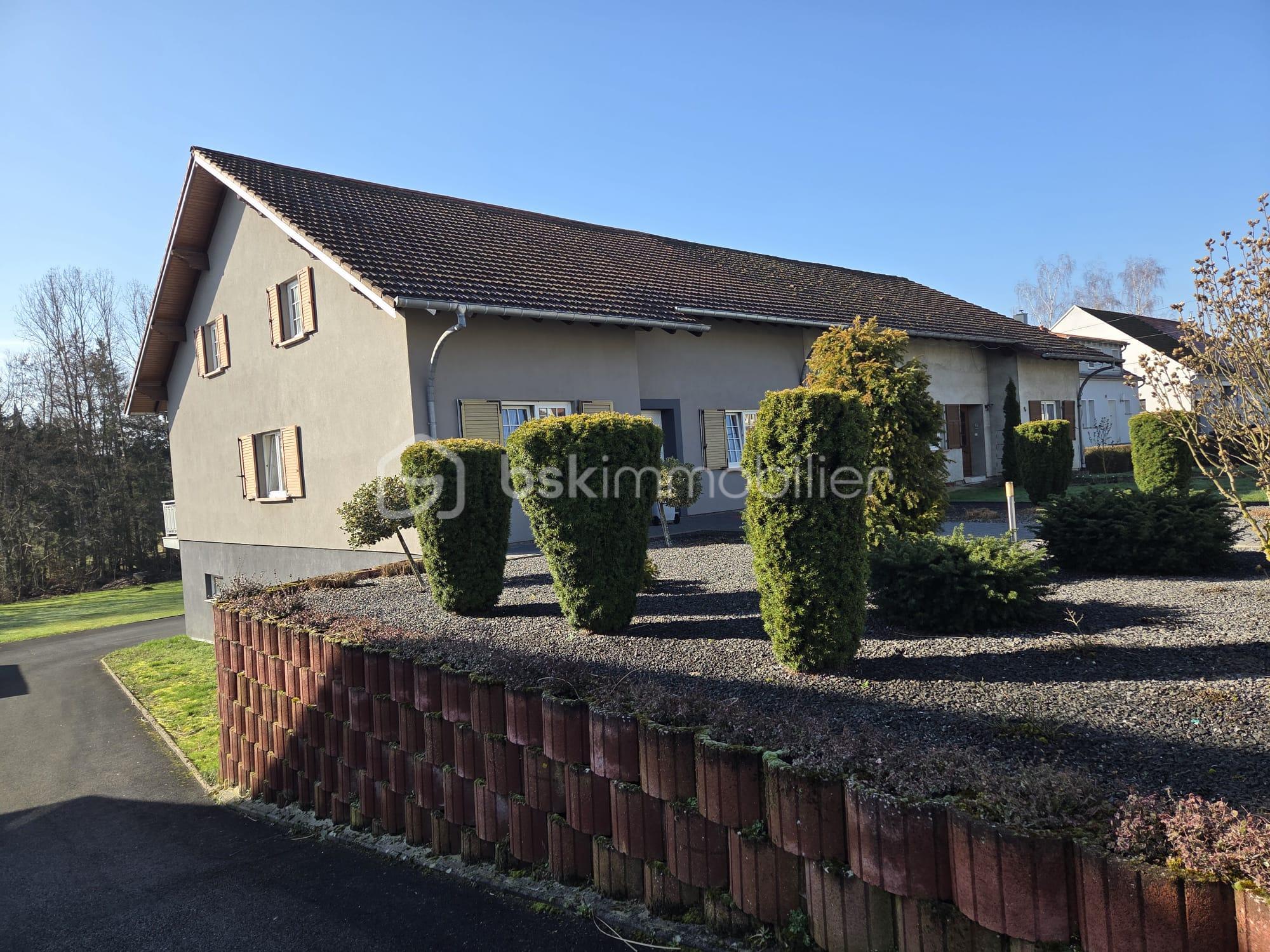 WhatsApp Image 2026-03-07 at 23.47.28 (3).jpeg