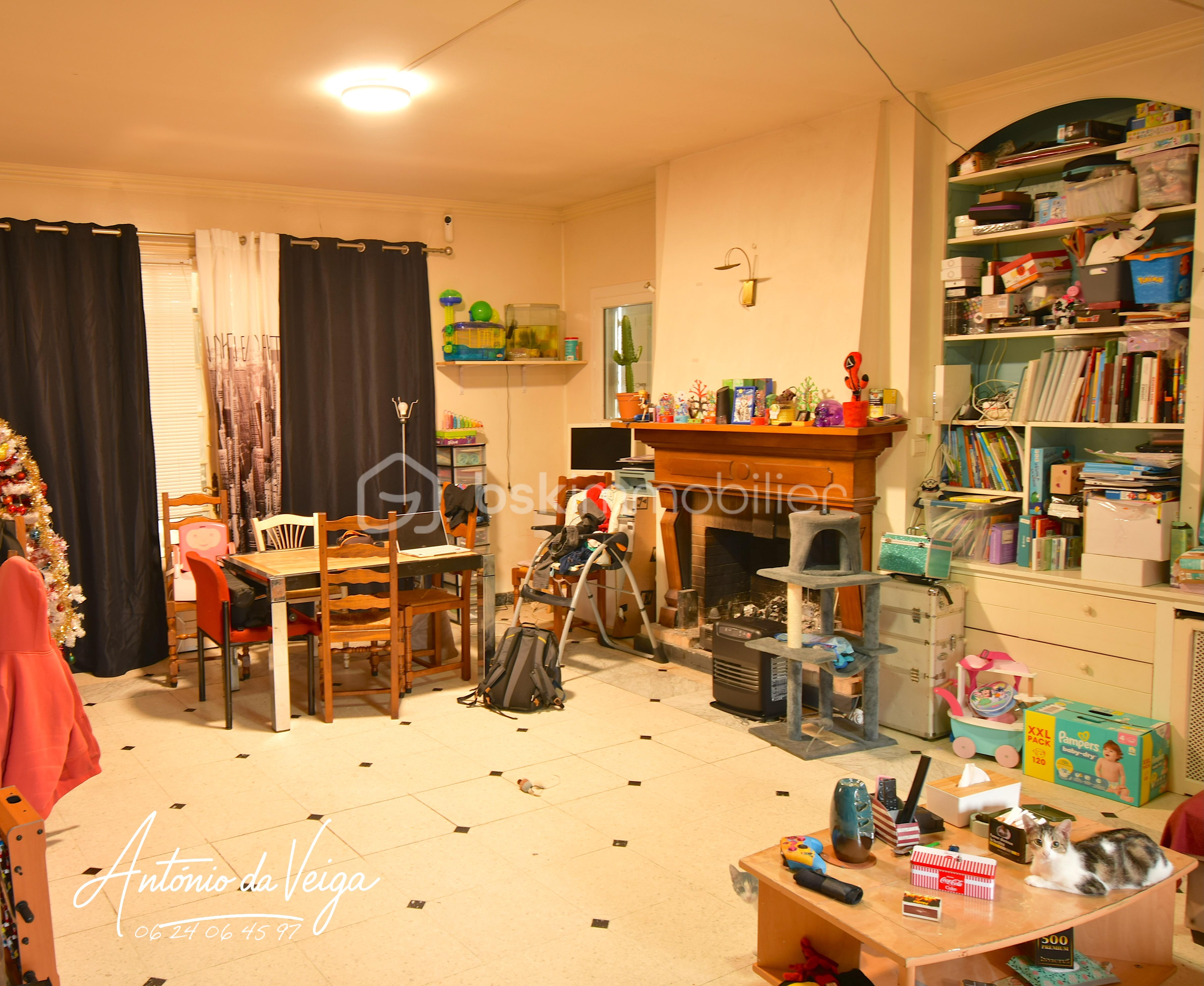 Immeuble mixte de 286 m² - sejour.JPG