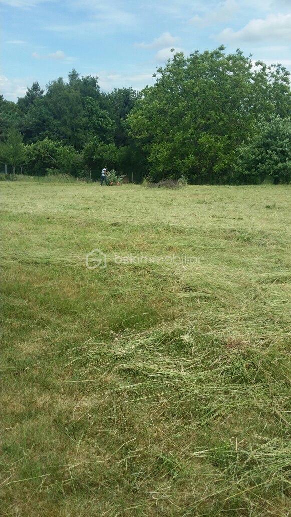 Terrain de 1 095 m² - IMG_3139 - Copie.jpeg