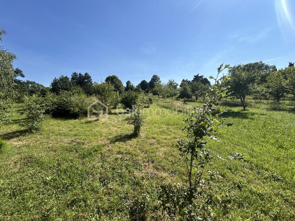 Maison de 332 m² - 2C055DB7-7CDC-46FD-93CD-12BB04CC0E56_1_105_c.jpeg