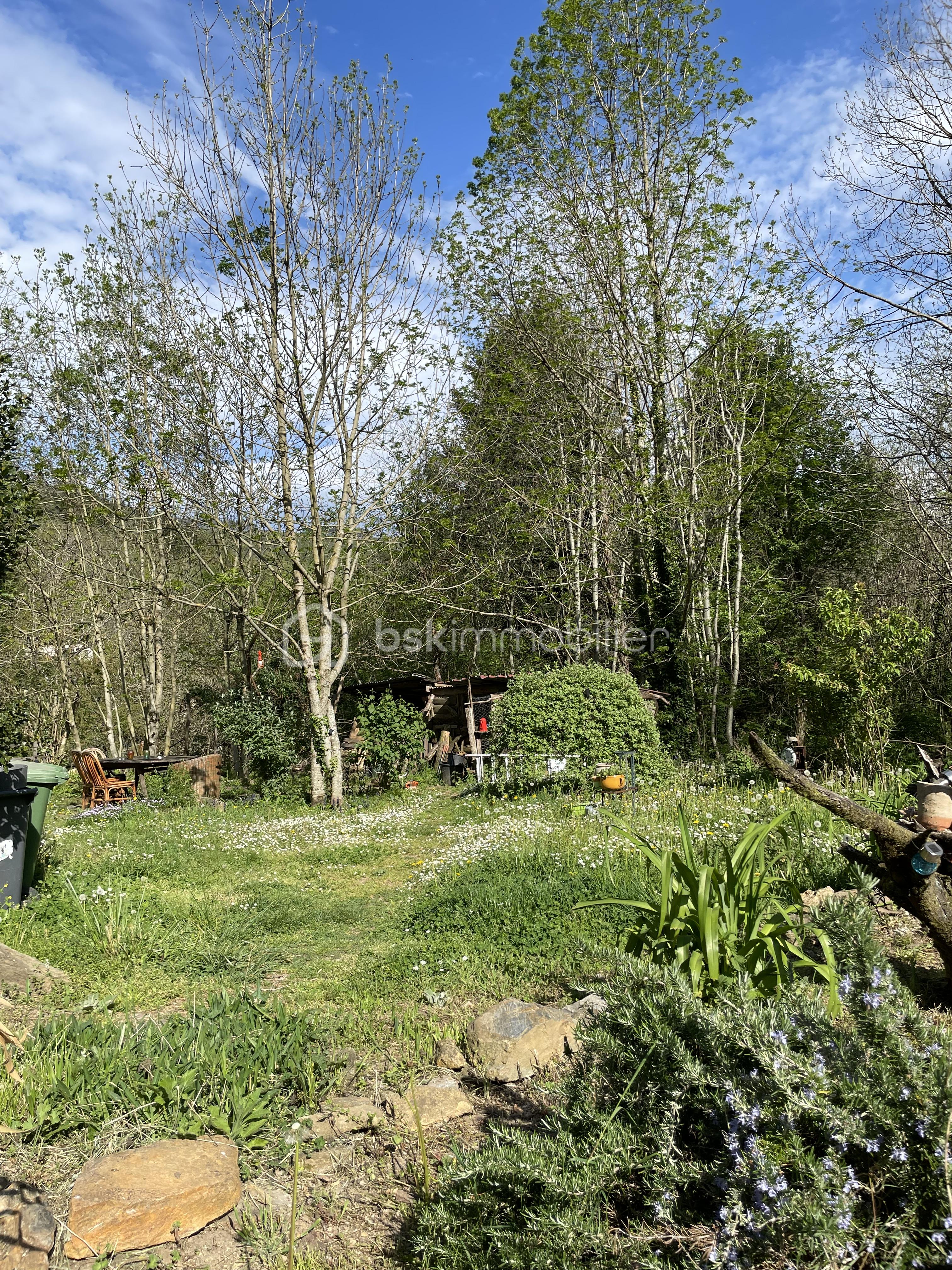 IMG_5620.jpeg