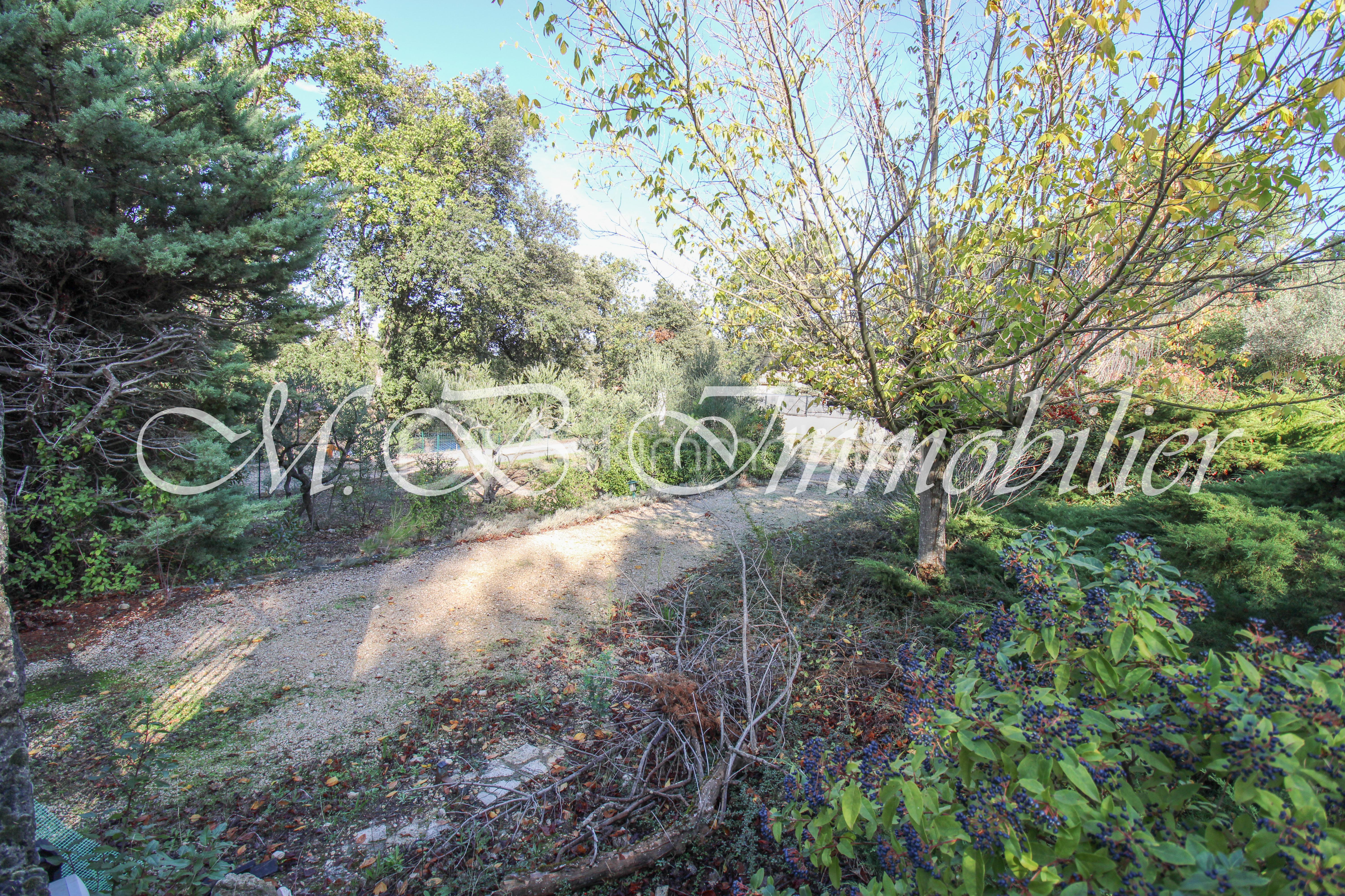 Terrain de 649 m² - IMG_1066.jpg