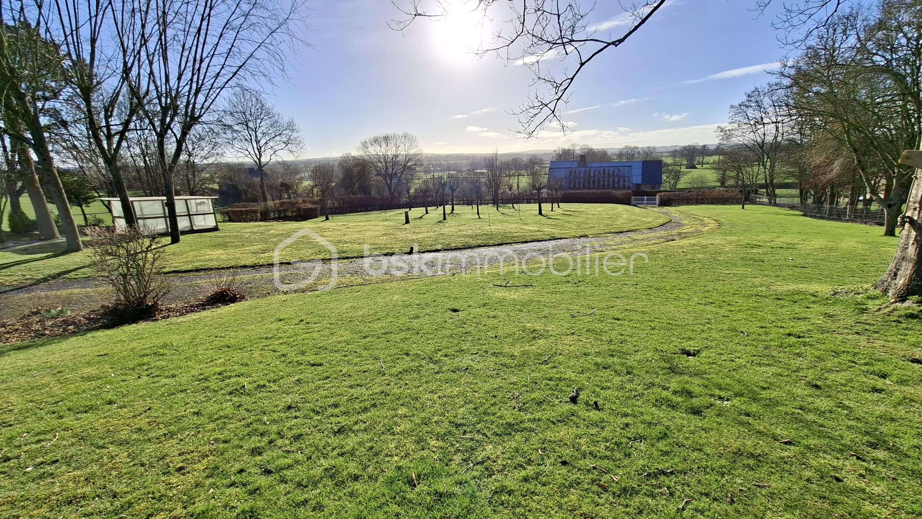 Bid terrain ensemble vers le bas 1.jpg