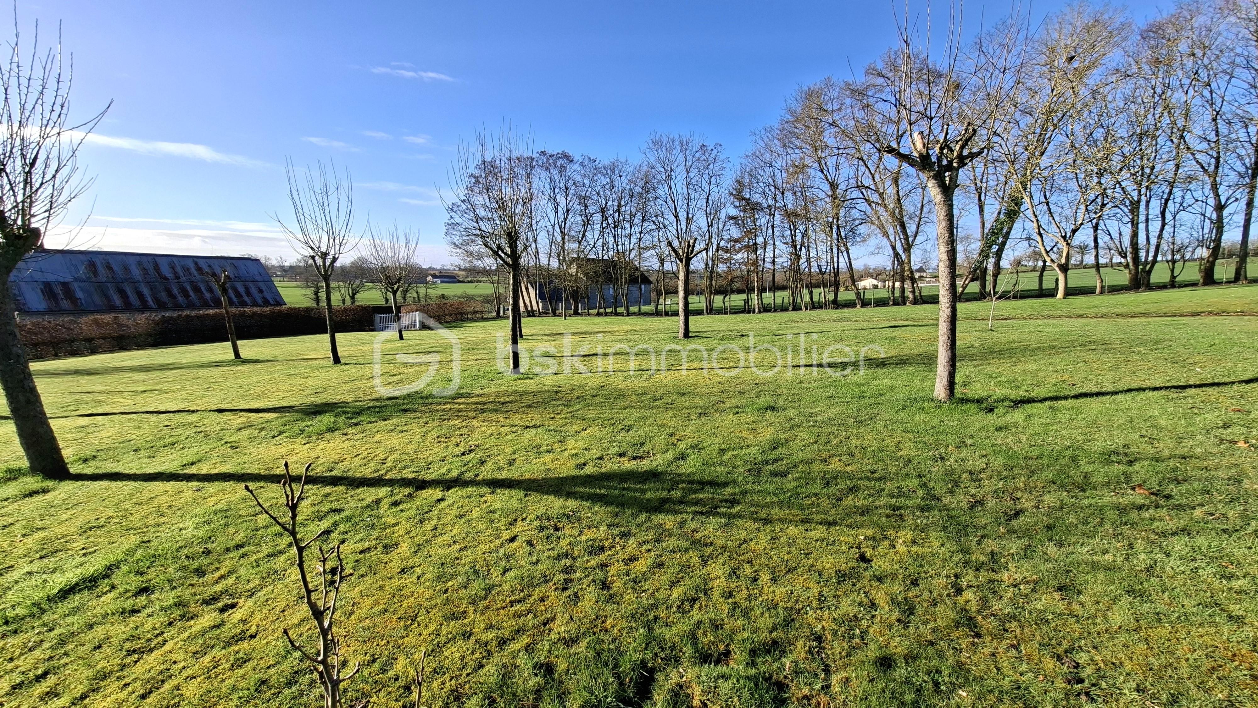 Bid terrain arbres vers axe .jpg