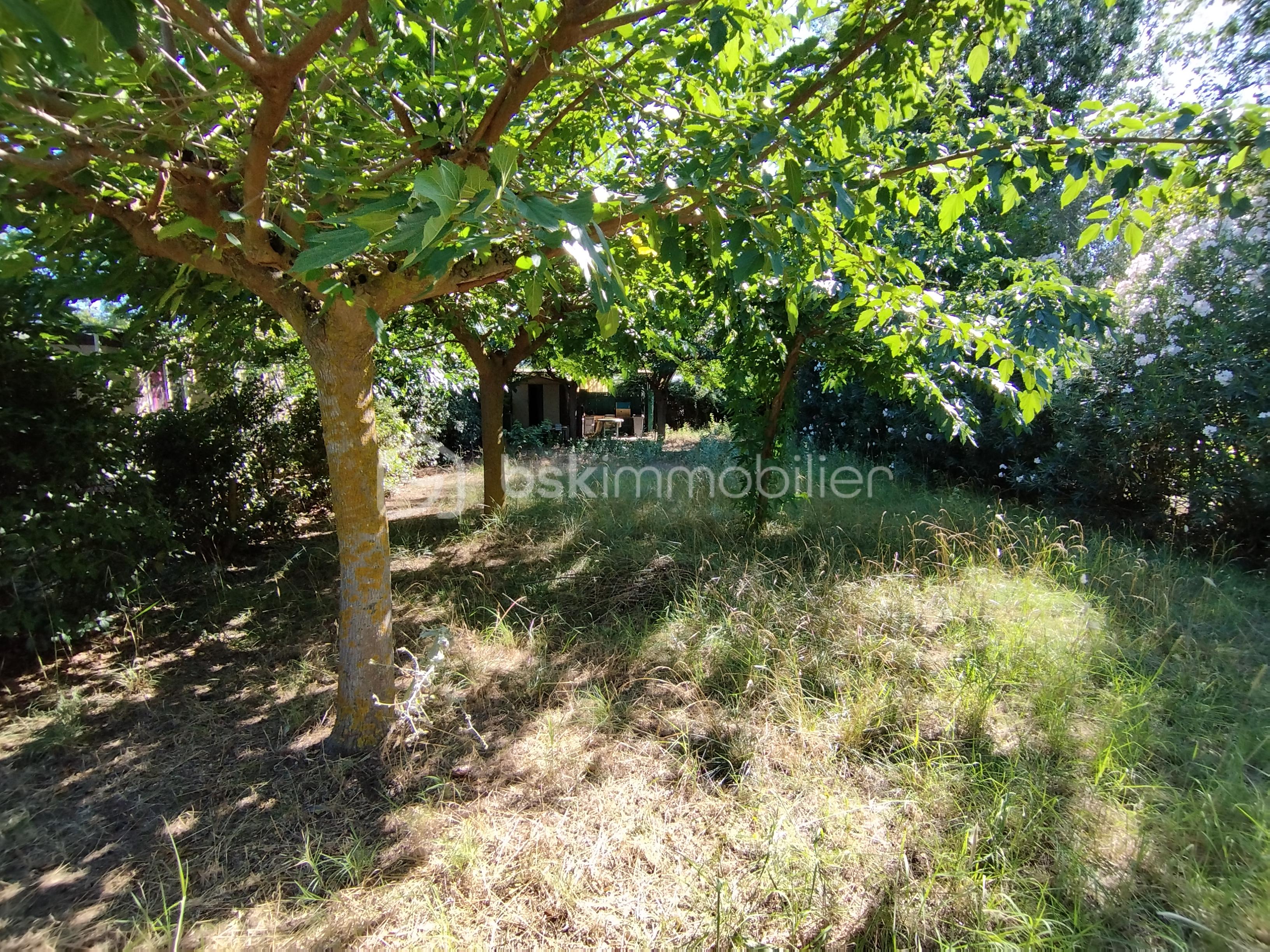 Terrain de loisirs de 365 m² - 1691396620890.jpg