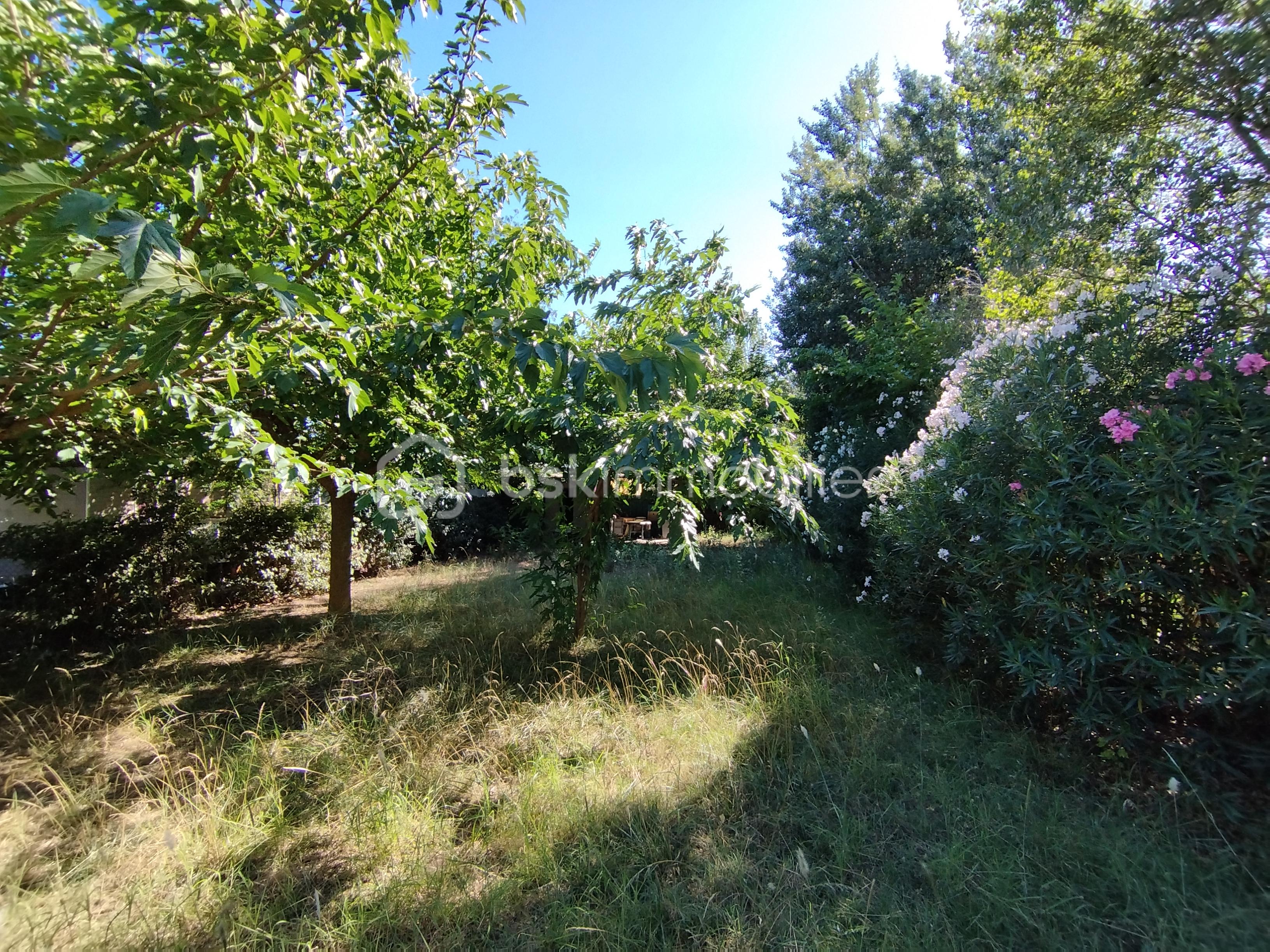 Terrain de loisirs de 365 m² - 1691396620926.jpg
