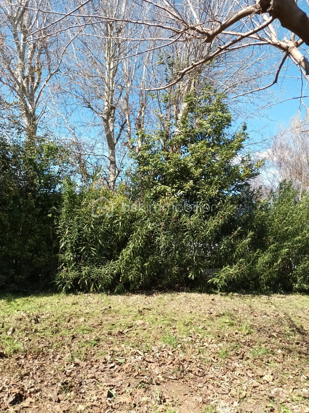 Terrain de loisirs de 365 m² - 1680336268920.jpg