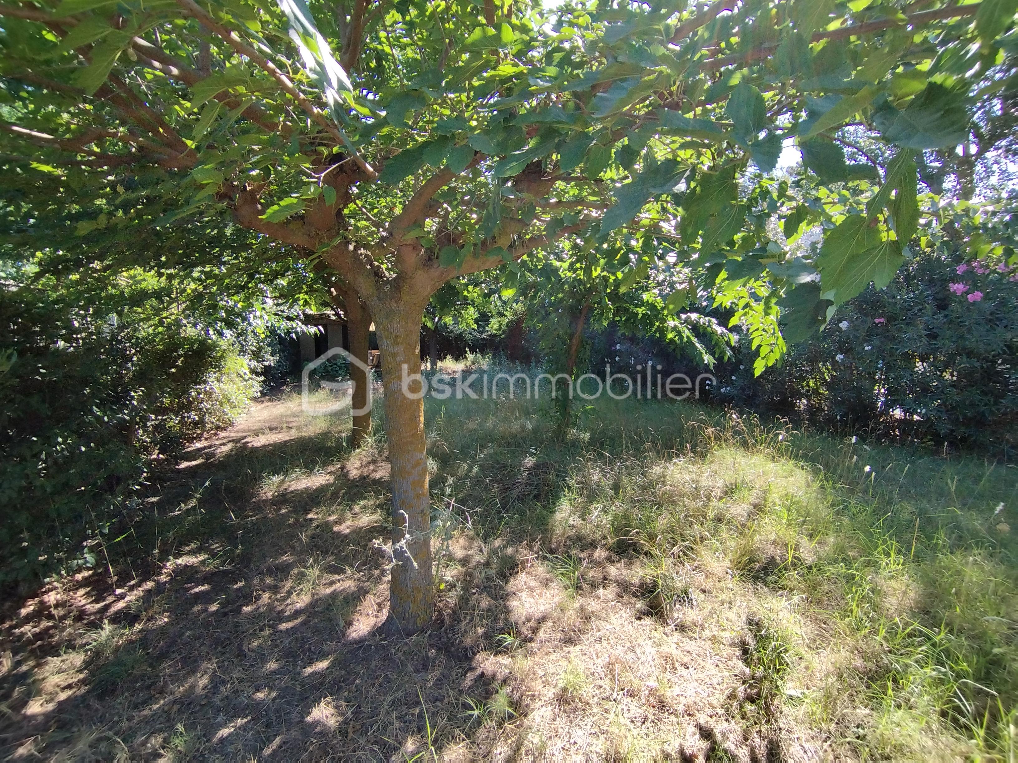 Terrain de loisirs de 365 m² - 1691396620895.jpg