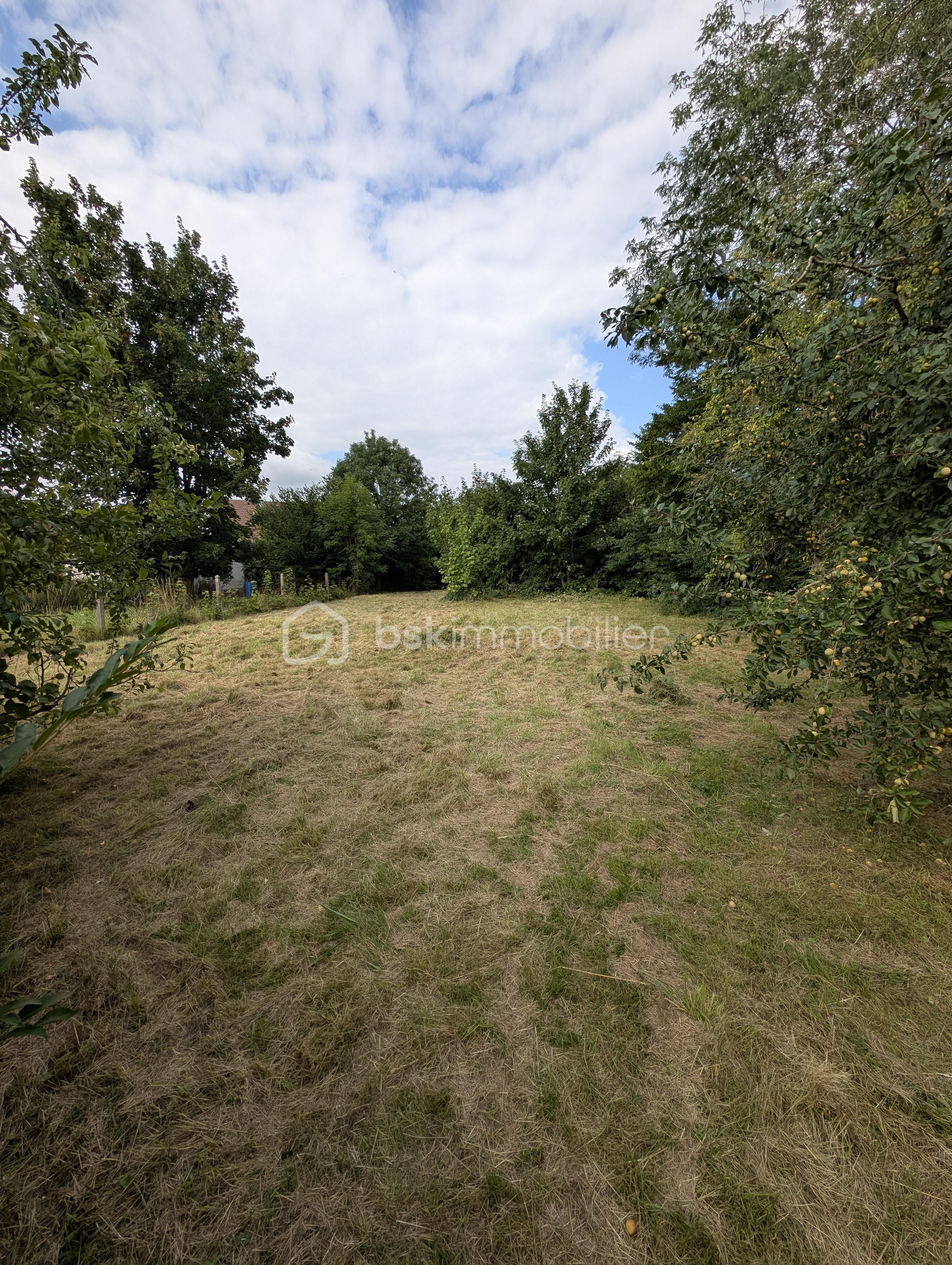 Terrain de 1 033 m² - PXL_20250725_154934209.jpg