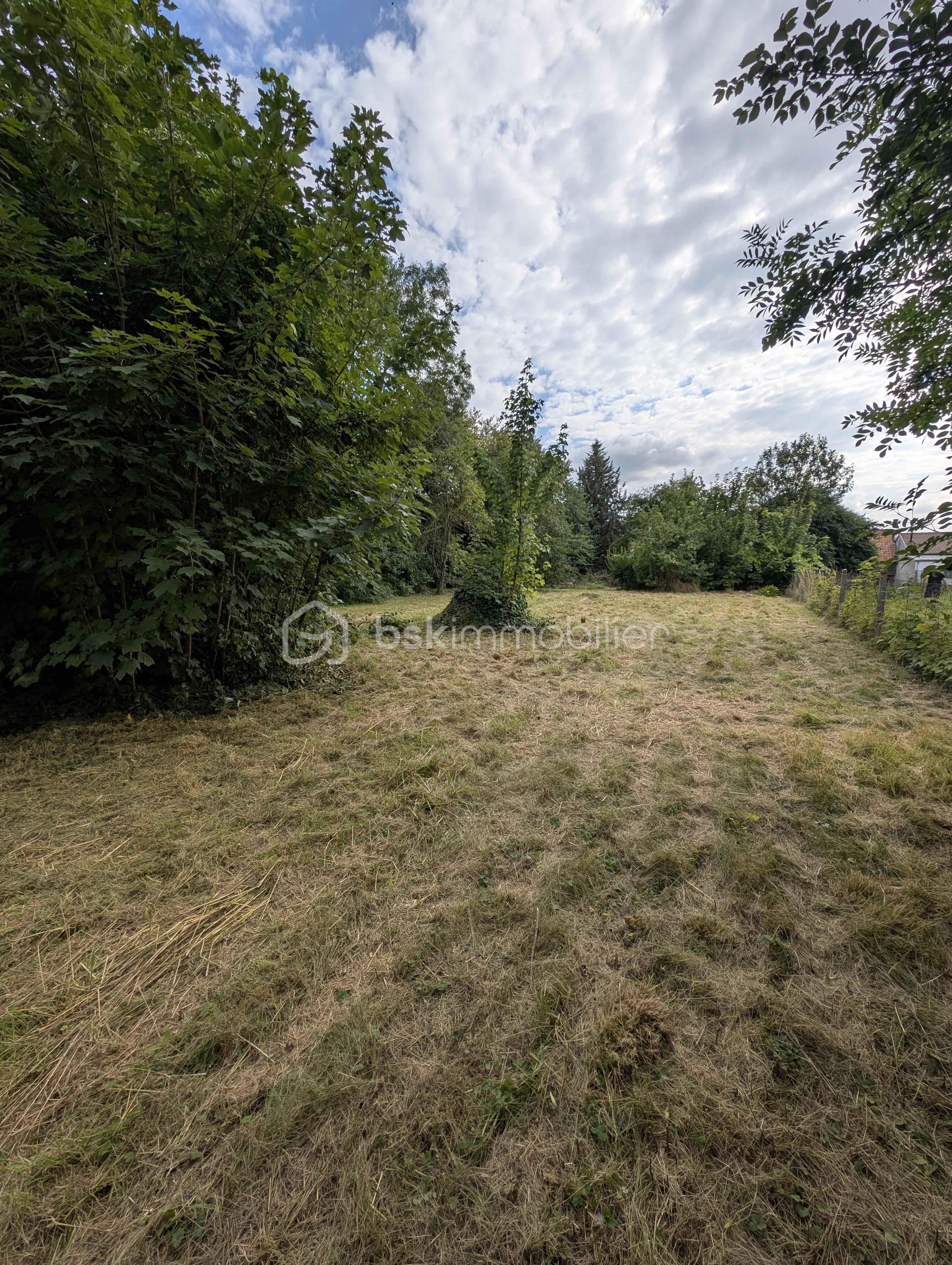 Terrain de 1 033 m² - PXL_20250725_154517004.jpg