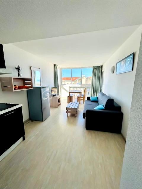Appartement de 36,29 m² - liloo-downloaderaERSDL