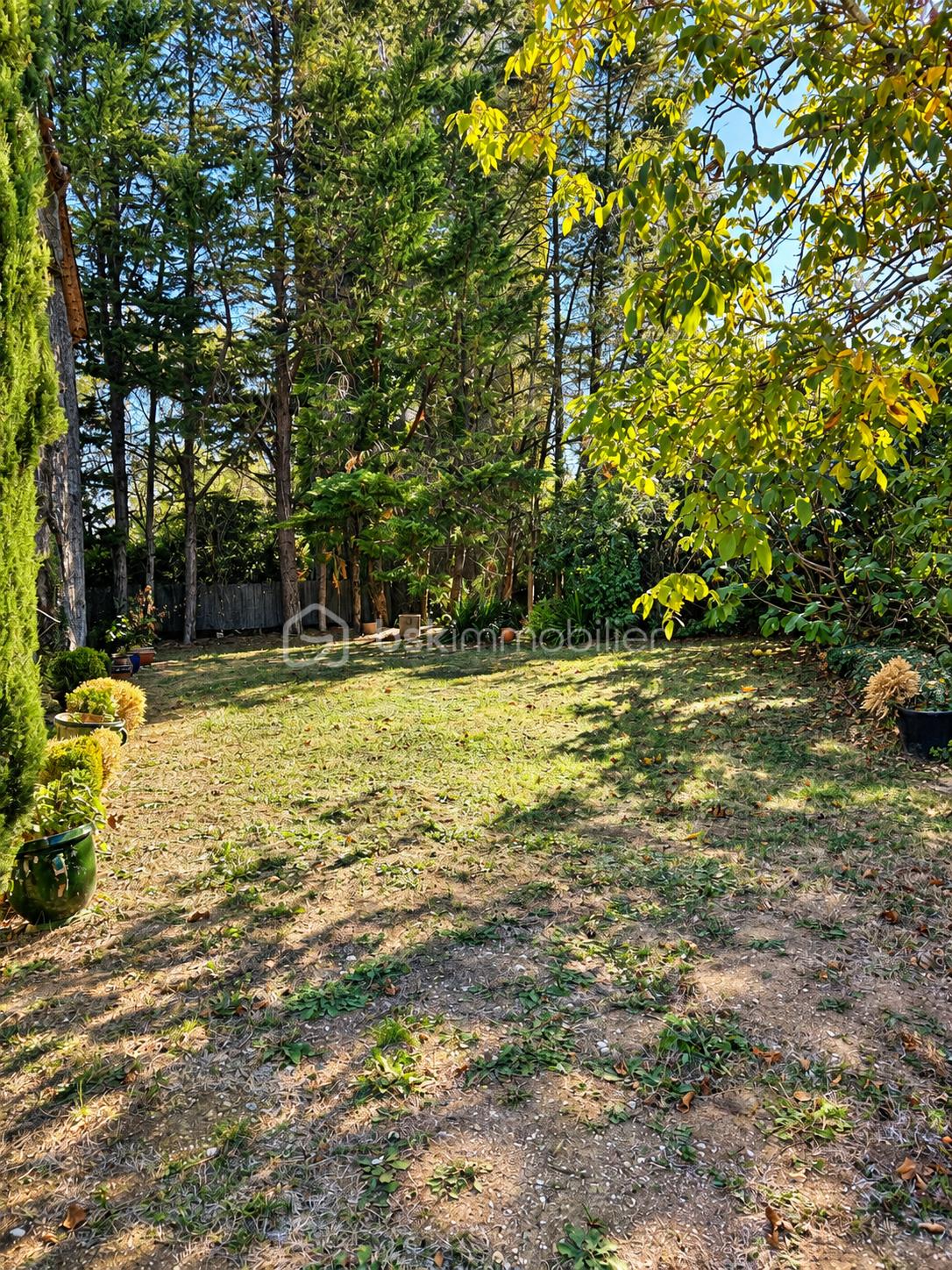 Jardin ensoleillé aux feuillages luxuriants.png