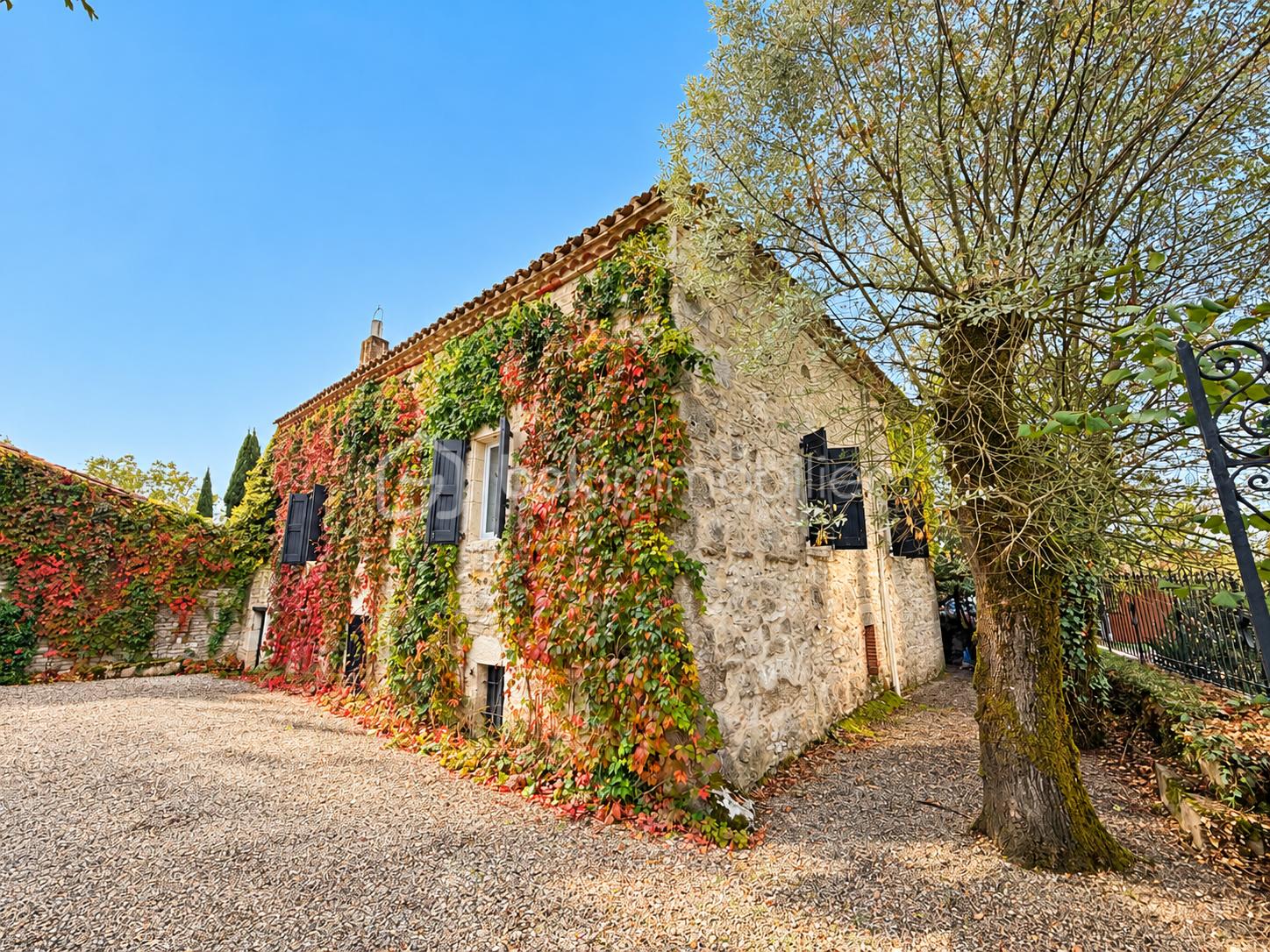 Cour en pierre sous les couleurs d’automne.png