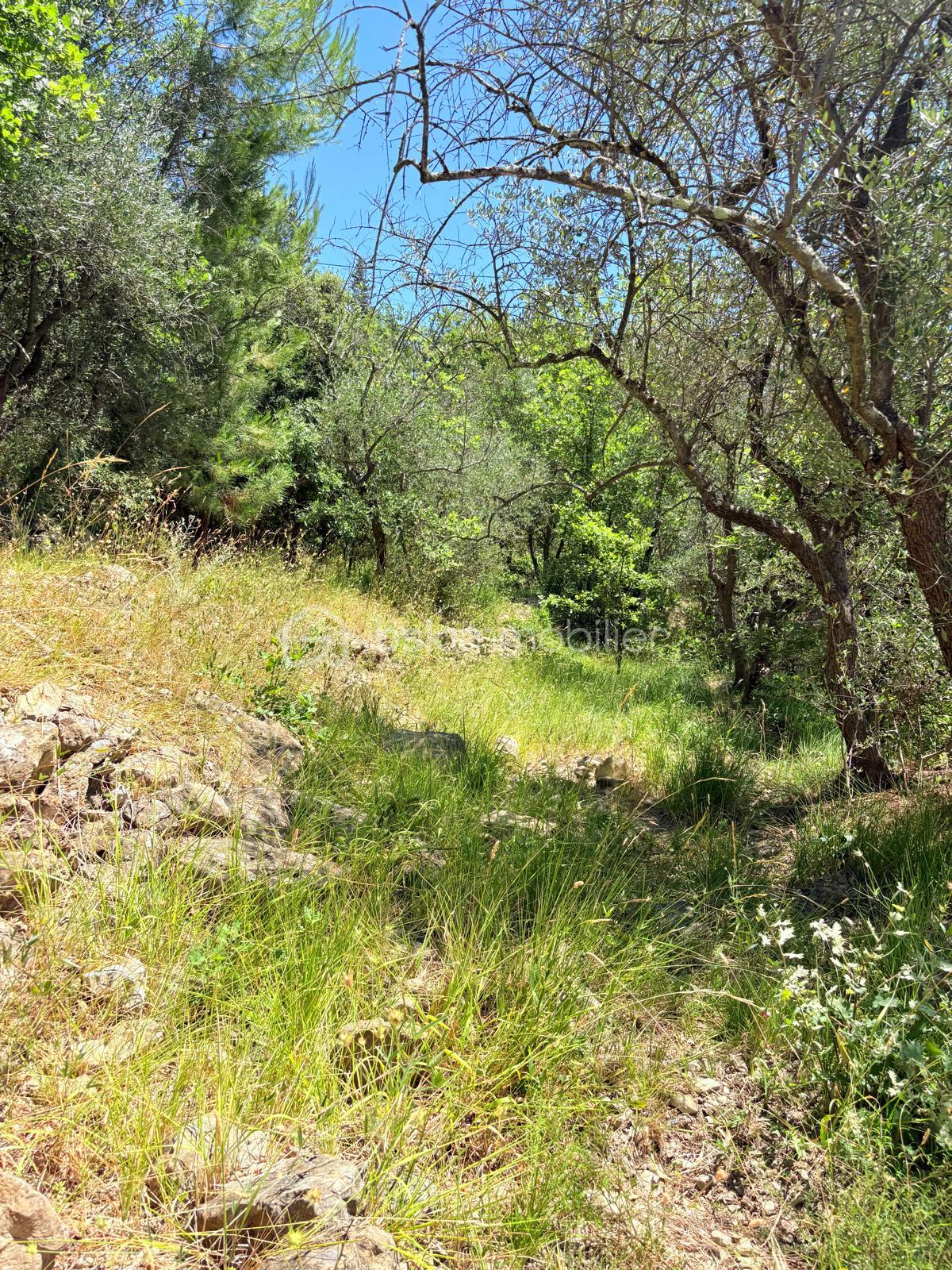Terrain de 3 077 m² - WhatsApp Image 2025-08-21 at 00.02.10 (1).jpeg