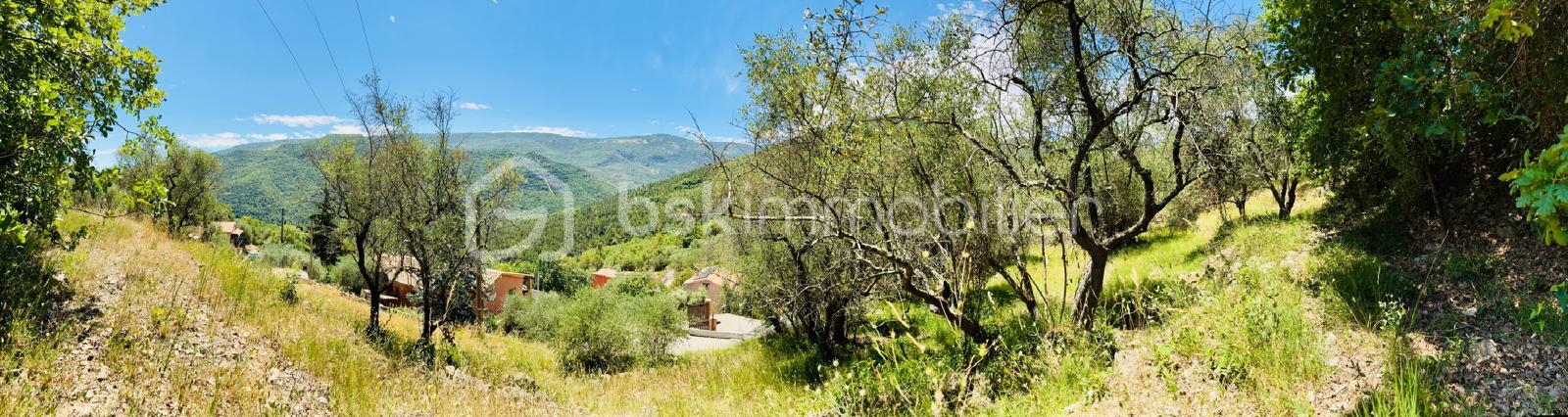 Terrain de 3 077 m² - WhatsApp Image 2025-08-21 at 00.04.04.jpeg