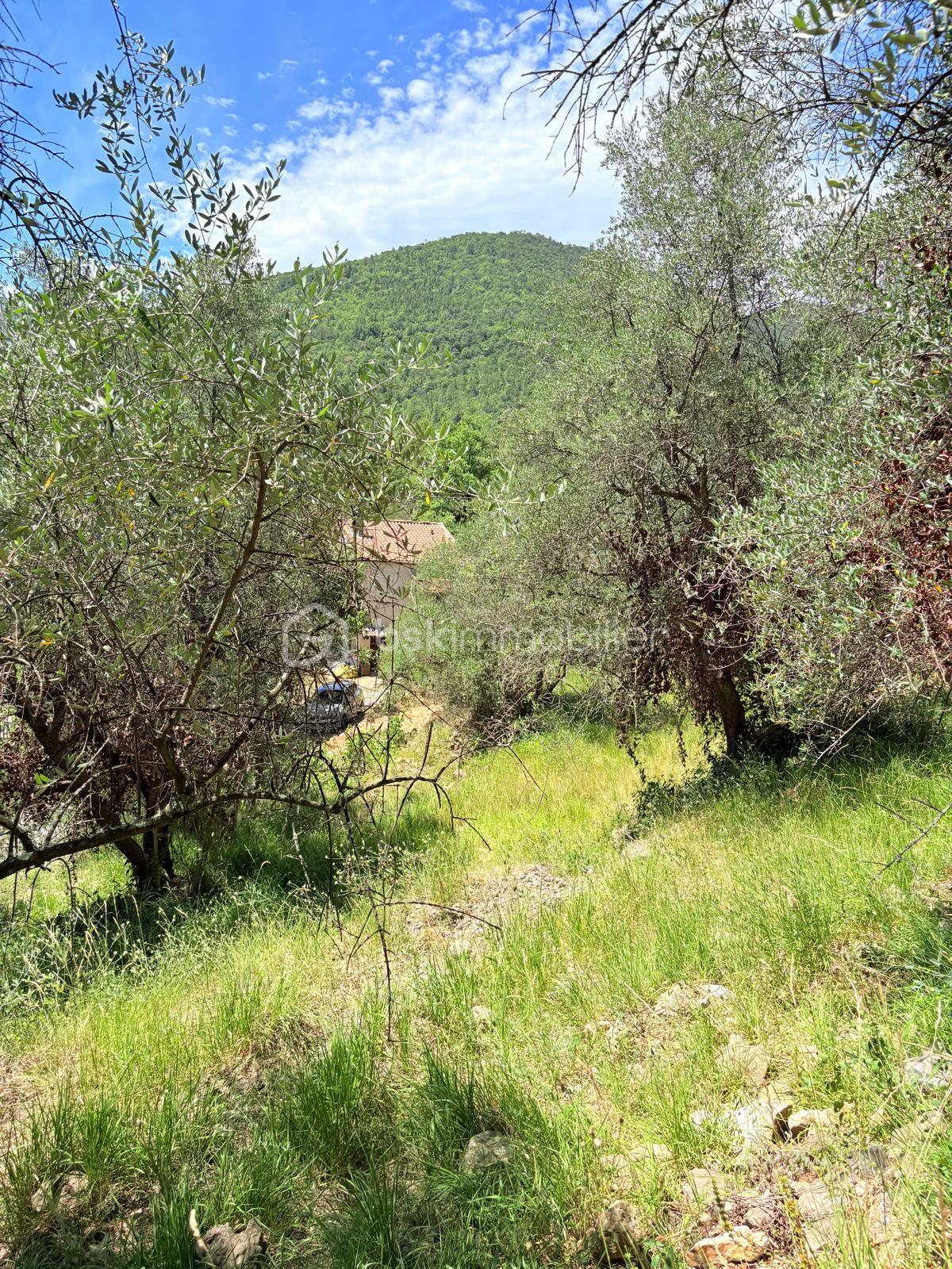 Terrain de 3 077 m² - WhatsApp Image 2025-08-21 at 00.04.21.jpeg