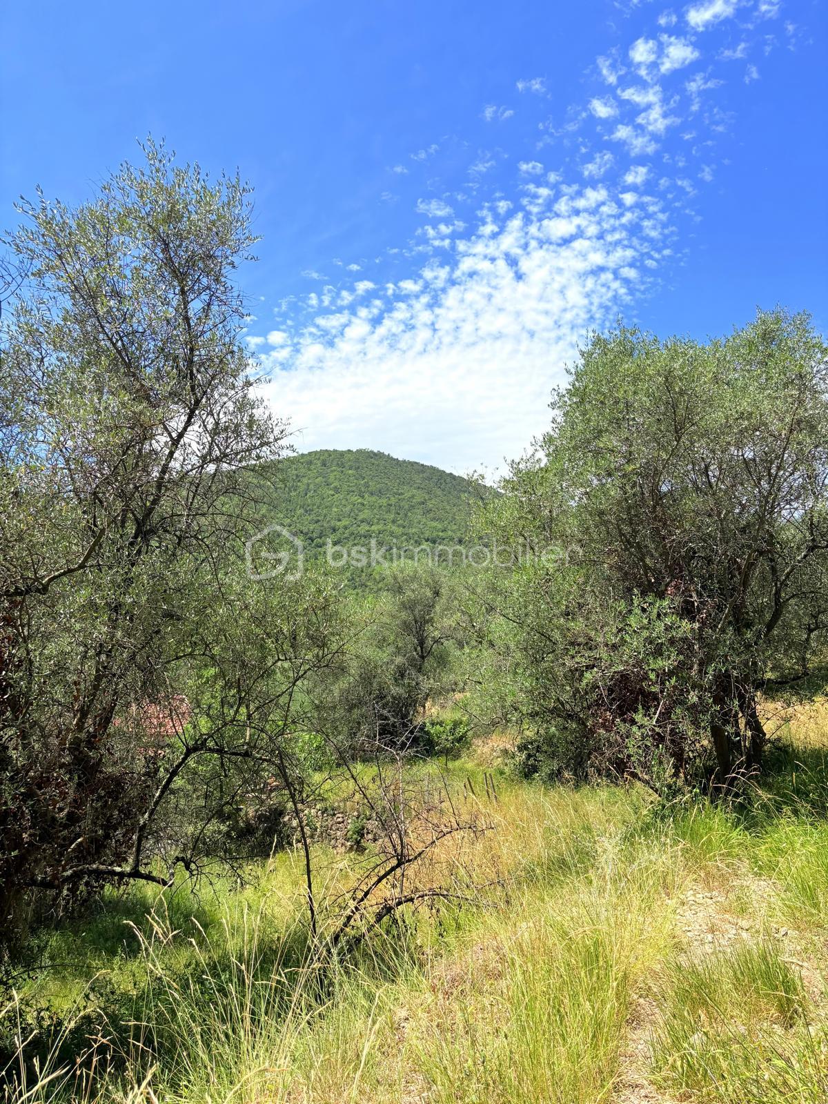 Terrain de 3 077 m² - WhatsApp Image 2025-08-21 at 00.04.21 (1).jpeg