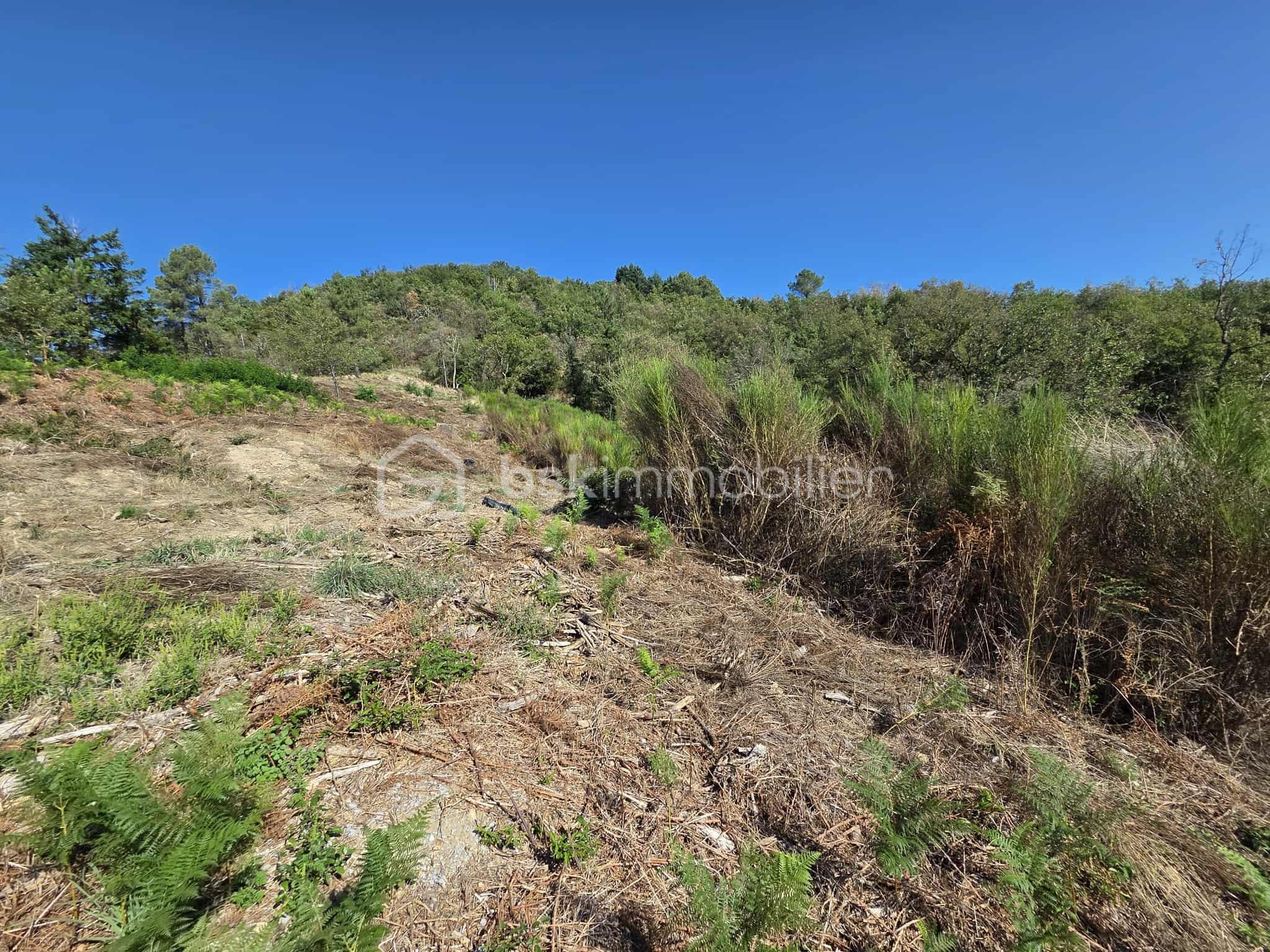 Terrain de 1 974 m² - cd6d3b3a-50f2-4228-94b6-f01288b9e52e.jfif