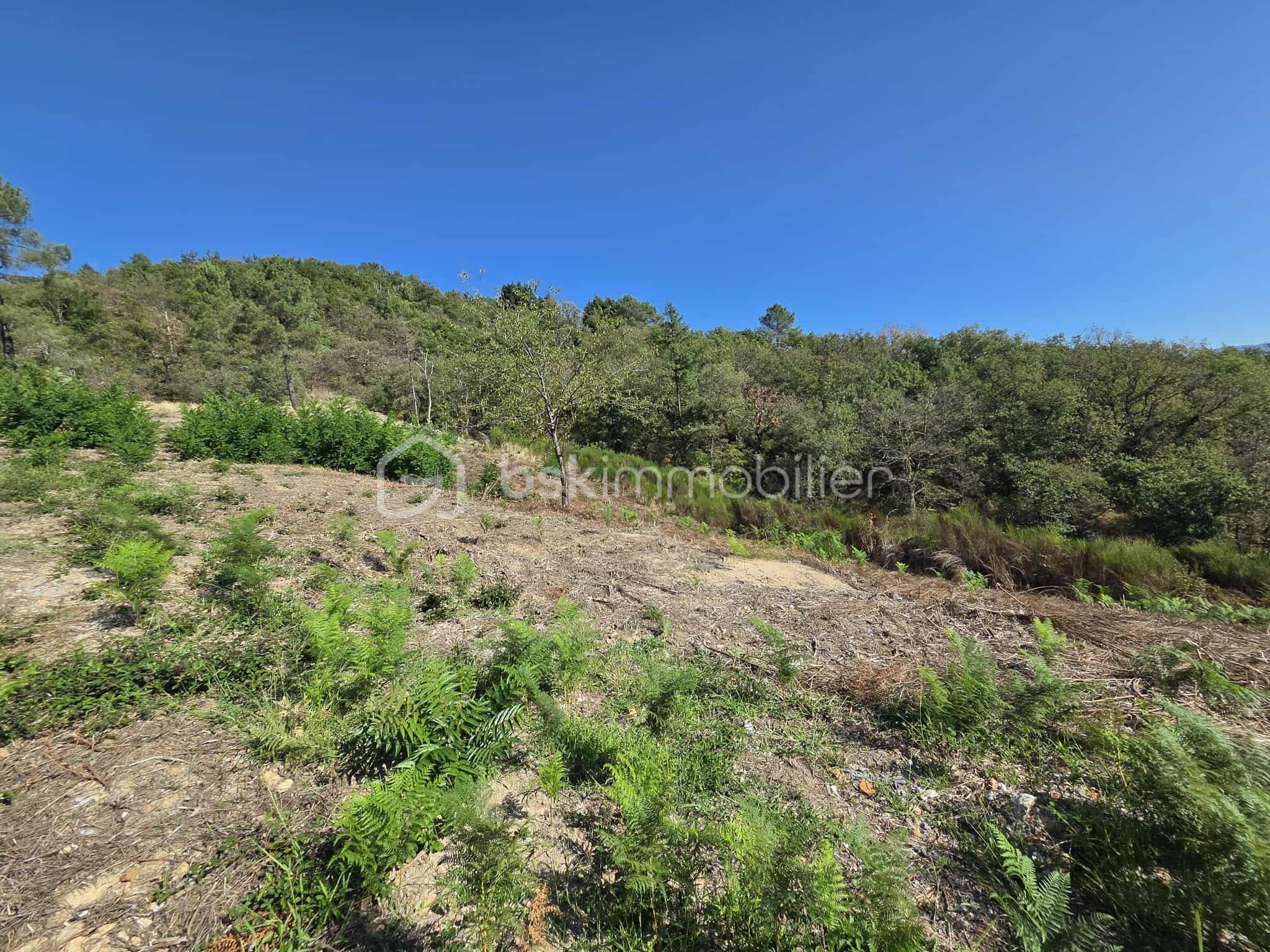 Terrain de 1 974 m² - 5c088e7c-275e-4a42-ae86-1221521ee310.jfif