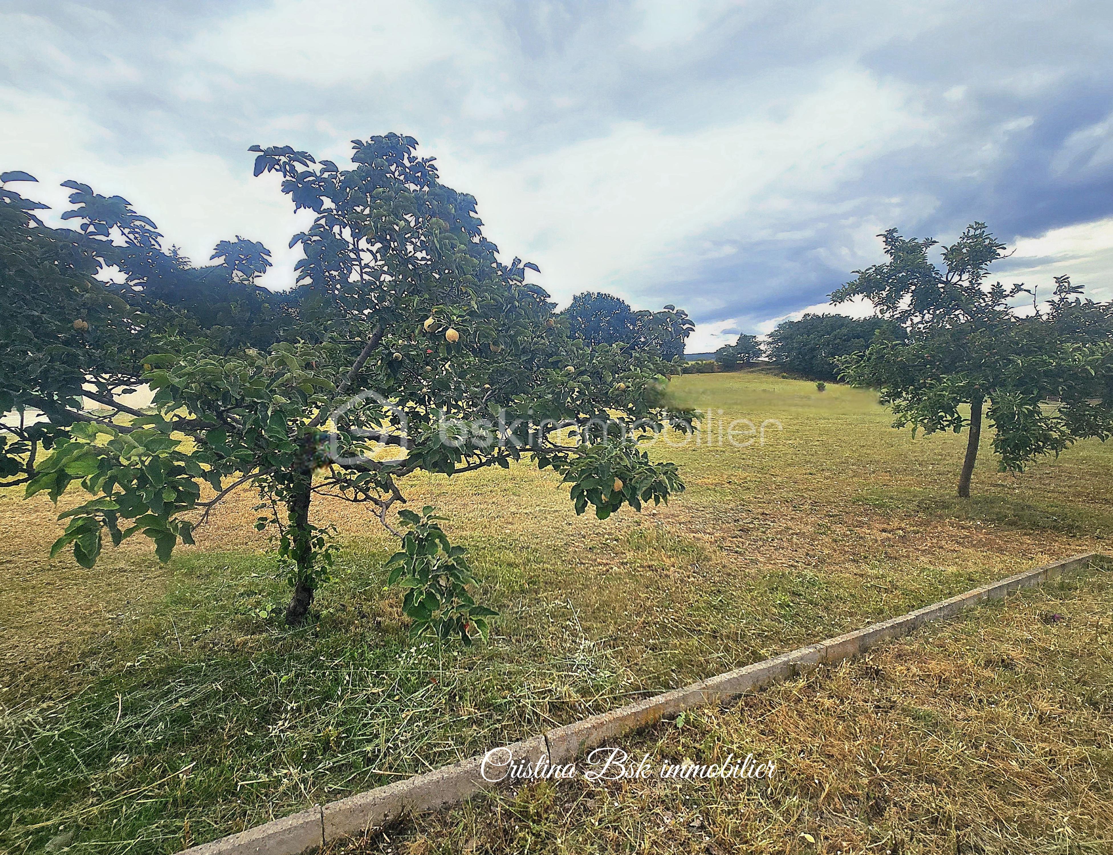 04 06 2026 terrain.png