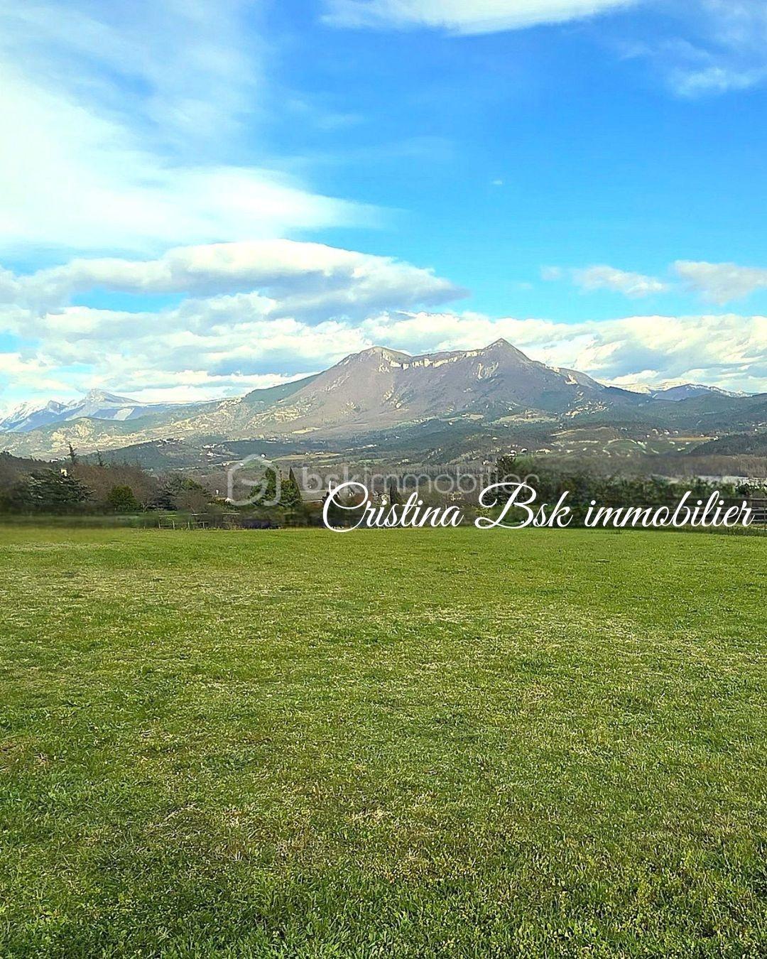 Terrain de 1 000 m² - Cristina Bsk immobilier n (17).jpg