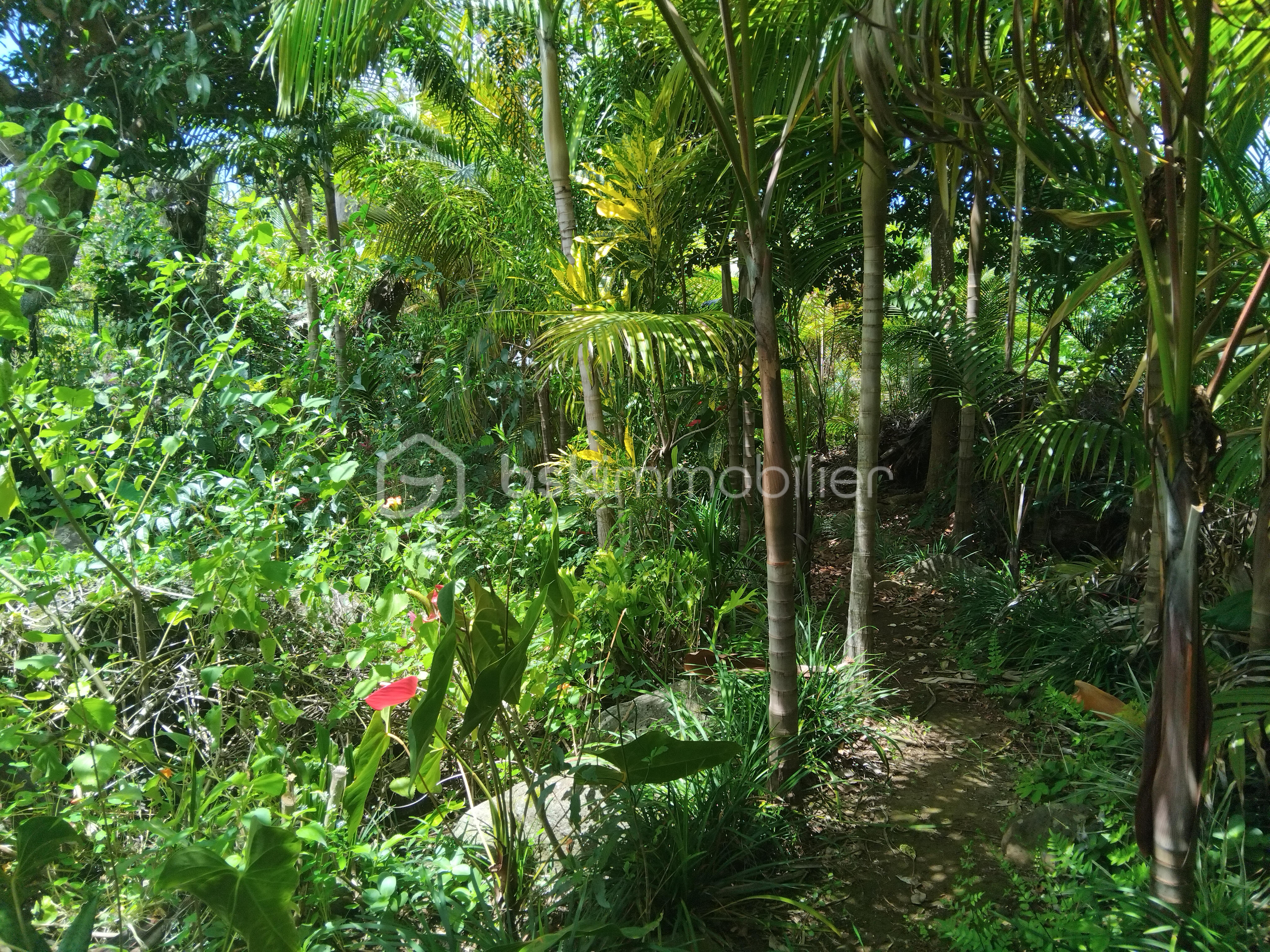 Maison de 171 m² - palemeraie.jpg