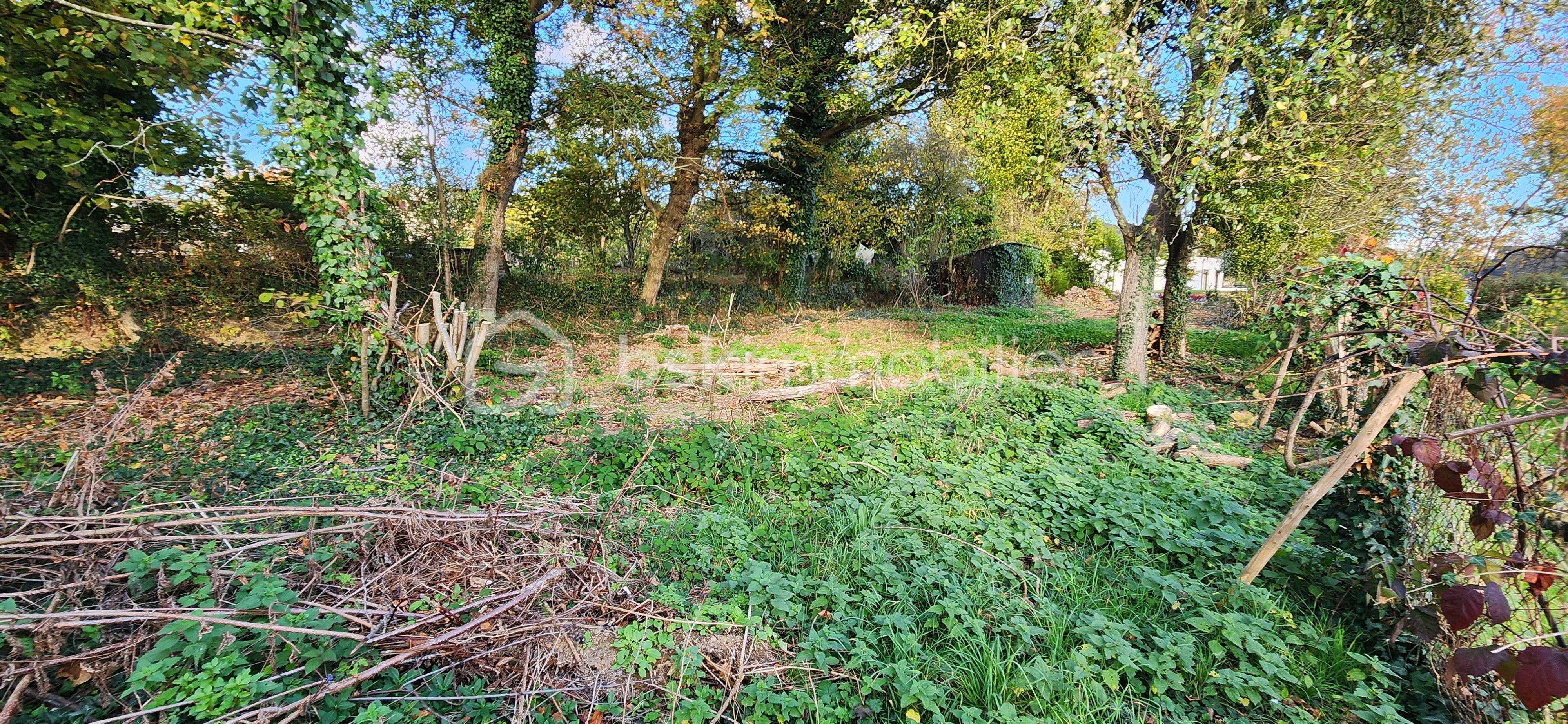 Terrain de 642 m² - 20251106_152848.jpg