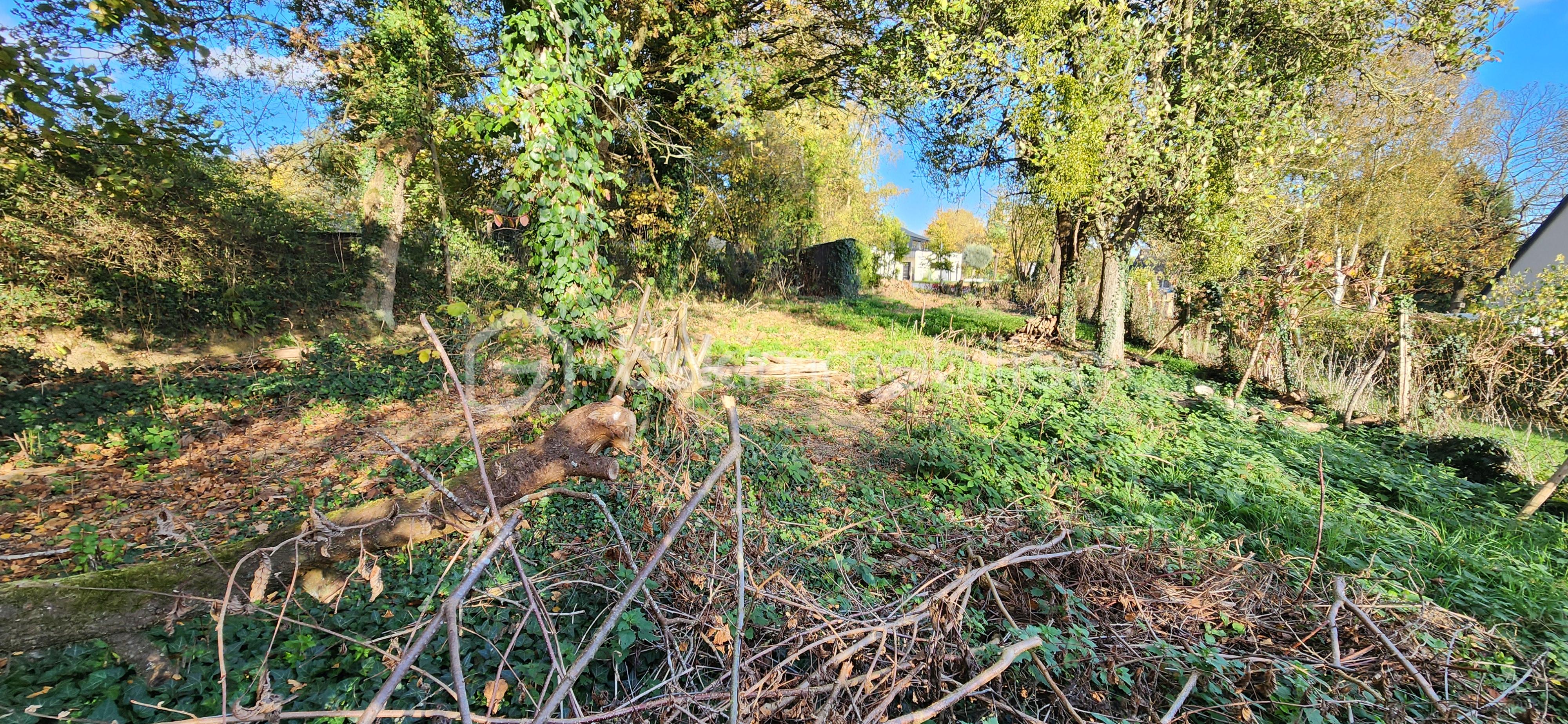 Terrain de 642 m² - 20251106_152829.jpg