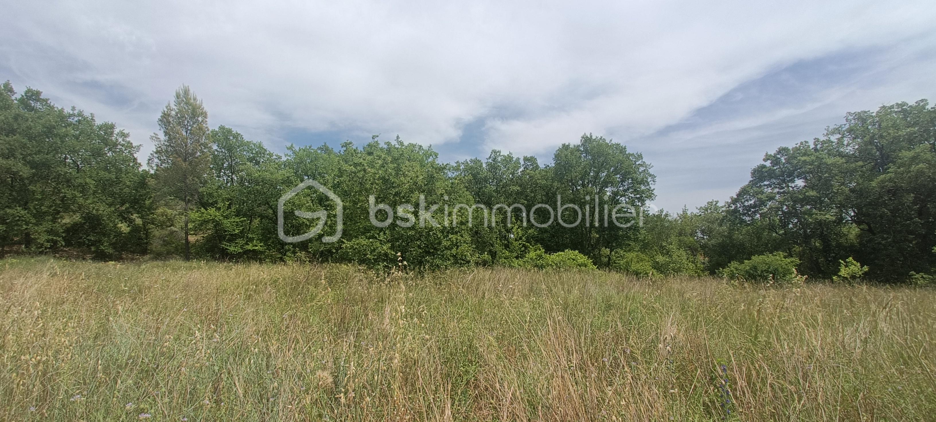 IMG20260530145934.jpg