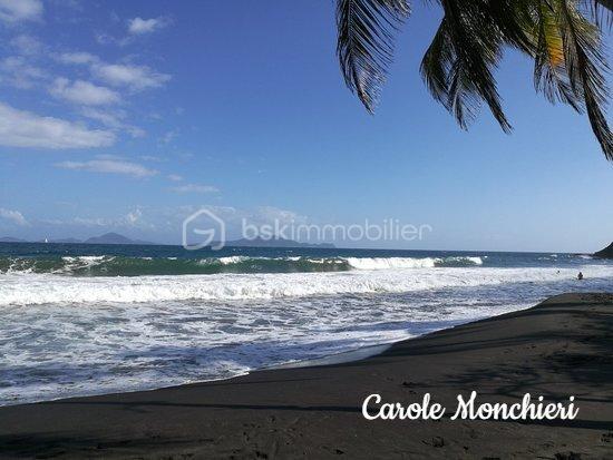 Terrain de 584 m² - Plage de Grande Anse.jpg