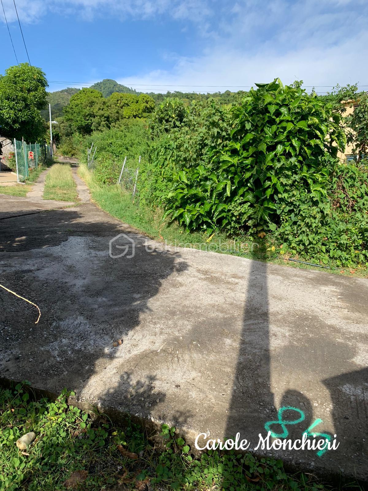 Terrain de 584 m² - Terrain 2.jpg